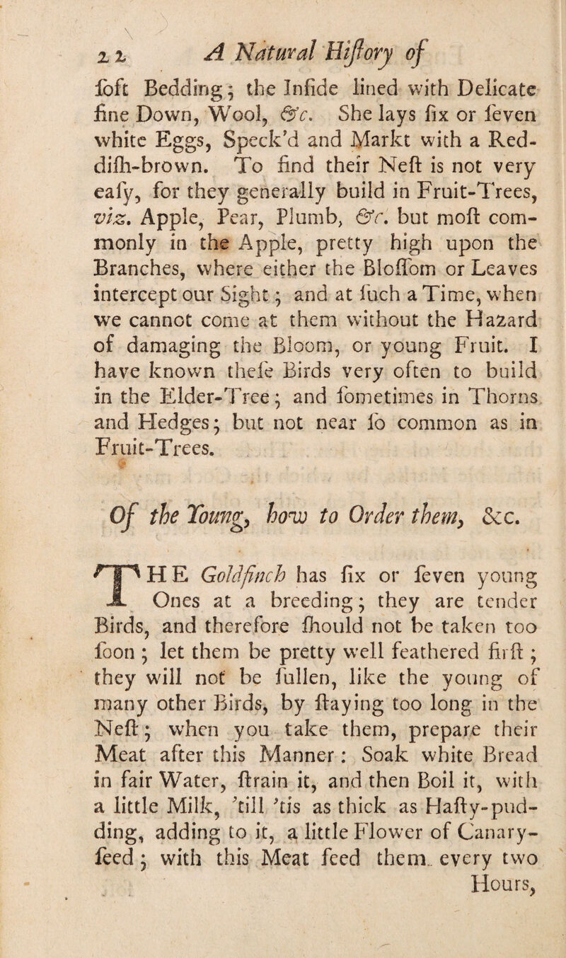 loft Bedding; the In fide lined with Delicate fine Down, Wool, &c. She lays fix or fieven white Eggs, Speck'd and Markt with a Red- dilh-brown. To find their Neft is not very eafy, for they generally build in Fruit-Trees, viz. Apple, Pear, Plumb, &c. but moft com¬ monly in the Apple, pretty high upon the Branches, where either the Bio fib m or Leaves intercept our Sight; and at inch a Time, when we cannot come at them without the Hazard of damaging the Bloom, or young Fruit. I have known thefe Birds very often to build in the Elder-Tree; and fometimes in Thorns and Fledges; but not near fo common as in Fruit-Trees. Of the Young, how to Order them, &c. ^TjT^ H E Goldfinch has fix or feven young A Ones at a breeding; they are tender Birds, and therefore fhould not be taken too foon ; let them be pretty well feathered firft ; they will not be fallen, like the young of many other Birds, by flaying too long in the Neft; when you take them, prepare their Meat after this Manner: Soak white Bread in fair Water, ftrain it, and then Boil it, with a little Milk, ’till 'tis as thick as Hafty-pud- ding, adding to it, a little Flower of Canary- feed ; with this Meat feed therm every two Hours,