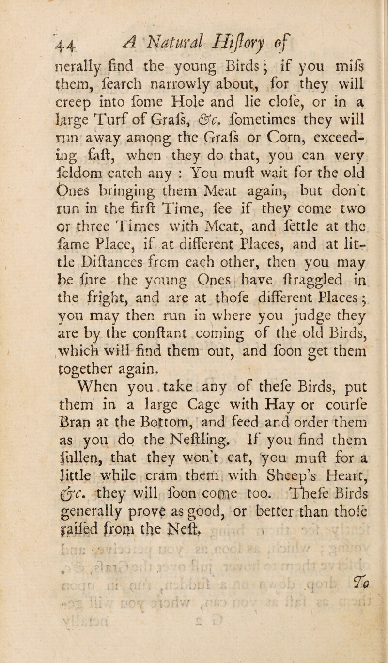 nerally find the young Birds; if you mils them, fearch narrowly about., for they will creep into fome Hole and lie clofie, or in a large Turf of Graft, &c. fometimes they will run away among the Graft or Corn, exceed¬ ing faft, when they do that, you can very feldom catch any : You muft wait for the old Ones bringing them Meat again, but don't run in the firft Time, fee if they come two or three Times with Meat, and fettle at the fame Place, if at different Places, and at lit¬ tle Diftances from each other, then you may be fore the young Ones have {haggled in the fright, and are at thole different Places; you may then run in where you judge they are by the conftant coming of the old Birds, which will find them out, and foon get them together again. When you take any of thefe Birds, put them in a large Cage with Hay or courfe Bran at the Bottom, and feed and order them as you do the Nettling, If you find them fallen, that they won’t eat, you muft for a little while cram them with Sheep’s Heart, they will foon come too. Tfiefe Birds generally prove as good, or better than thole jailed from the Nett* i