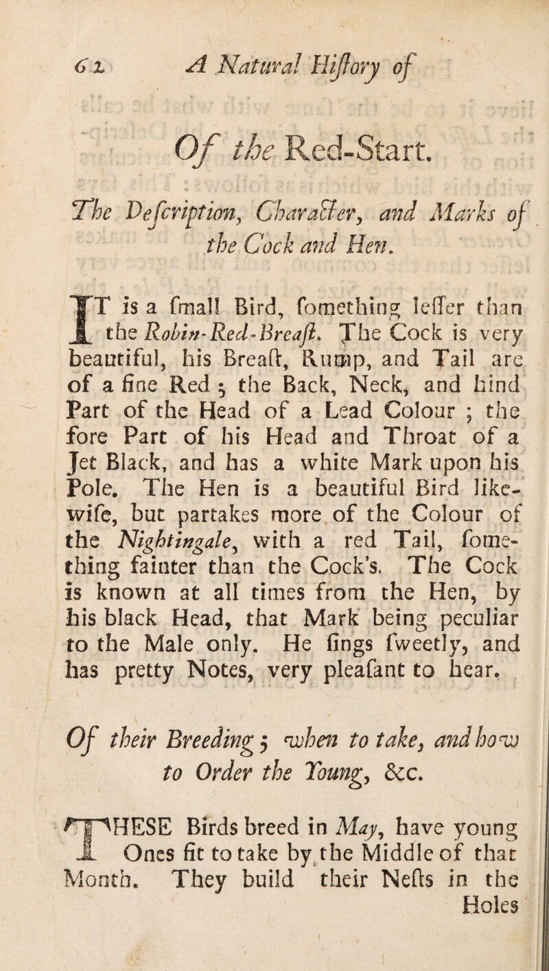 Of the Red-Start. 1 >>' y r ~ X 51 « , . 1 ■ * ■ •»’ ' jThe Description, Character, and Marks of the Cock and Hen. IT is a fmal! Bird, fomething leffer than the Robin-Red-Brcaft* Jlie Cock is very beautiful, his Bread, Rump, and Tail are of a fine Red ^ the Back, Neck, and hind Part of the Head of a Lead Colour ; the fore Part of his Head and Throat of a Jet Black, and has a white Mark upon his Pole. The Hen is a beautiful Bird like- wife, but partakes more of the Colour of the Nightingale, with a red Tail, fome¬ thing fainter than the Cock’s. The Cock is known at all times from the Hen, by his black Head, that Mark being peculiar to the Male only. He fings fweetly, and has pretty Notes, very pleafant to hear, Of their Breeding 5 when to take, and how to Order the Young, &c. ^y^HESE Birds breed in May, have young Jl Ones fit to take by the Middle of that Month* They build their Neds in the Holes