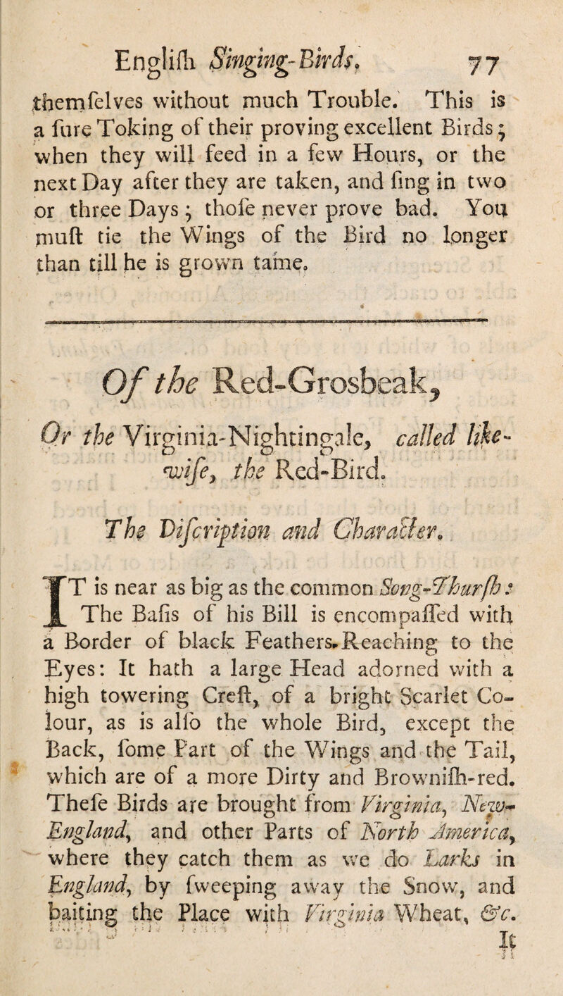 Englifti Singing- Birds, 7 7 tfaemfelves without much Trouble. This is a fore Toking of their proving excellent Birds • when they will feed in a few Hours, or the next Day after they are taken, and fmg in two or three Days; thole never prove bad. You niuft tie the Wings of the Bird no longer than till he is grown tame, * Of the Red-Grosbeak, Or the Virginia-Nightingale, called like- 'wife, the Red-Bird. The Difcription and Char alter. IT is near as big as the common SongAThurfh : The Bafis of his Bill is encompaffed with a Border of black Feathers*Reaching to the Ey es: It hath a large Head adorned with a high towering Creft, of a bright Scarlet Co¬ lour, as is alfo the whole Bird, except the Back, fome Fart of the Wings and the Tail, which are of a more Dirty and Brownifh-red. Thefe Birds are brought from Virginia, New* England, and other Parts of North America, where they catch them as we do Larks in England\ by fweeping away the Snow, and the Place with Virginia Wheat, &c. V ' 1 -J ; S 't ' X- } 1 < . r _