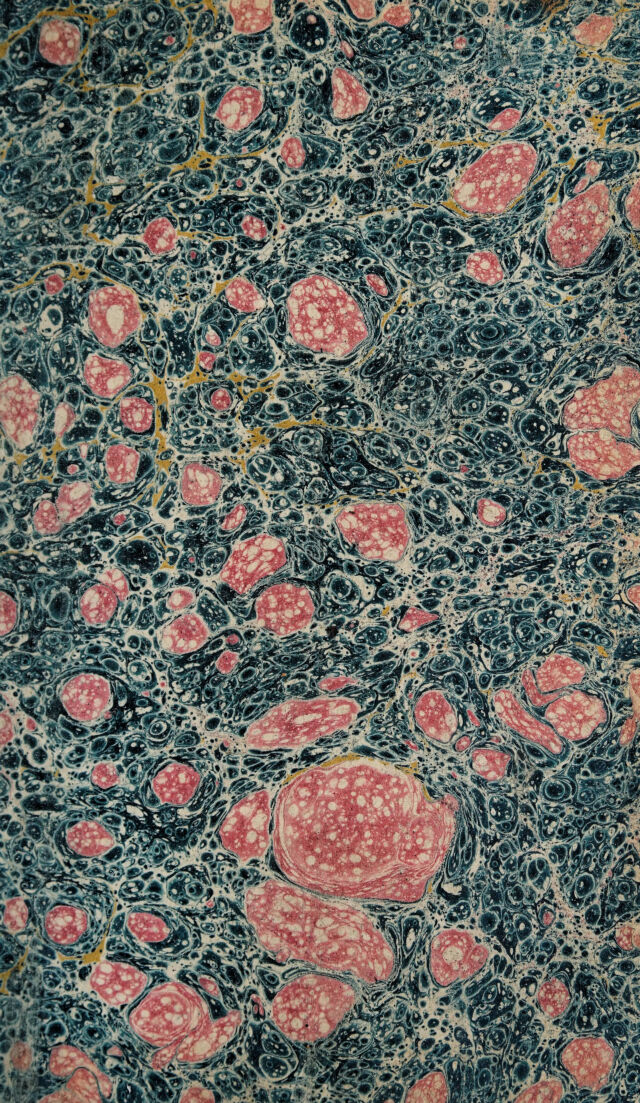 No text description is available for this image