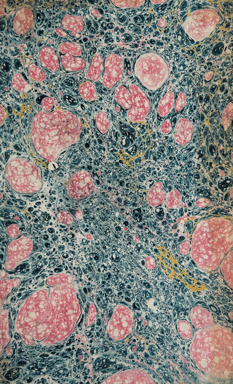 mm s»# ■Mm&i ’9 ■mïï^XSà^