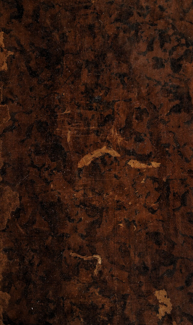 digitised image 1