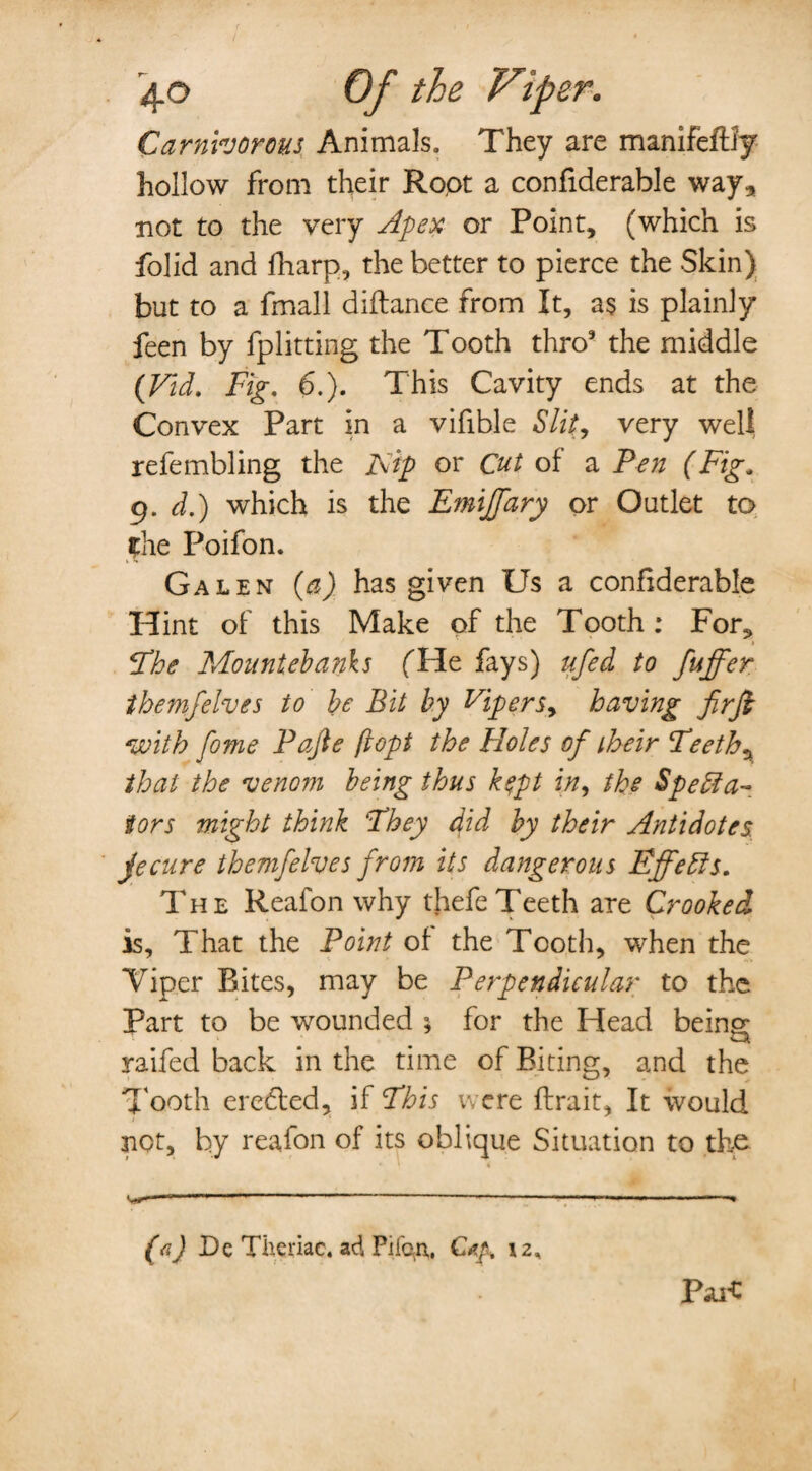 Carnivorous Animals. They are manifeftly hollow from their Root a confiderable way* not to the very Apex or Point, (which is folid and fharp, the better to pierce the Skin) but to a fmall diftance from It, as is plainly feen by fplitting the Tooth thro9 the middle (Fid. Fig. 6.). This Cavity ends at the Convex Part in a vifible Slit, very well refembling the JSip or Cut of a Pen (Fig. g. d.) which is the Emijfary or Outlet to ?he Poifon. Galen {a) has given Us a confiderable Hint of this Make of the Tooth: For, Phe Mountebanks fHe fays) ufed to fuffer them]elves to be Bit by Viper sy having firfi with fome Pafte ft opt the Holes of their Peeth% that the venom being thus k$pt in, the Speffia- tors might think ‘They did by their Antidotes, fecure themfelves from its dangerous Effects. The Reafon why thefe Teeth are Crooked is. That the Point of the Tooth, when the Viper Bites, may be Perpendicular to the Part to be wounded for the Head being raifed back in the time of Biting, and the Tooth erected, if Phis were ftrait, It would not, by reafon of its oblique Situation to the W.. ' ' ,jl ' ..1 ' ■ ■' ■« ParC (<i) Dc Tiieriac. ad Pifon, Cap. 12,