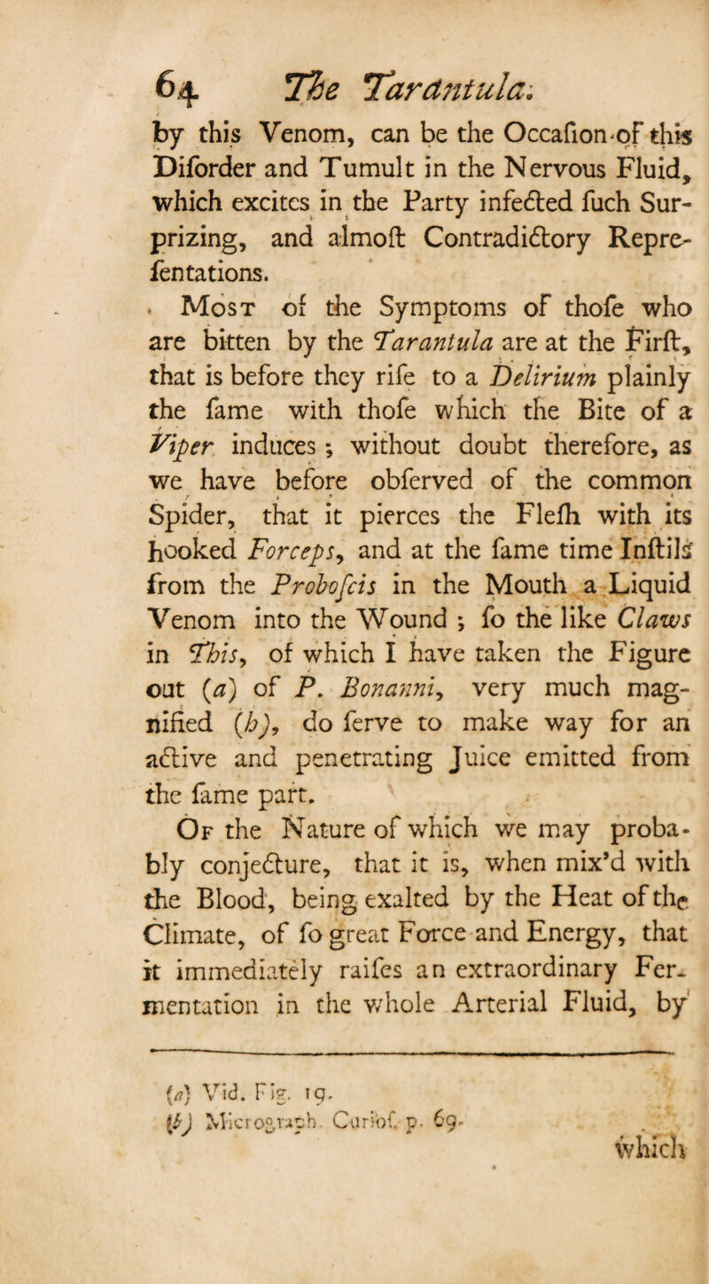 by this Venom, can be the Occafiomof this Difbrder and Tumult in the Nervous Fluid, which excites in the Party infedted fuch Sur¬ prizing, and almoft Contradictory Repre- fentations. . Most of the Symptoms of thofe who are bitten by the Tarantula are at the Firft, s * ♦ , , r 1 that is before they rife to a Delirium plainly the fame with thofe which the Bite of a Viper induces; without doubt therefore, as we have before obferved of the common * < * * Spider, that it pierces the Flefh with its hooked Forceps, and at the fame time Inftifc from the Probofcis in the Mouth a Liquid Venom into the Wound ; fo the like Claws in This, of which I have taken the Figure out (a) of P. Bonanni9 very much mag¬ nified (b)9 do ferve to make way for an adlive and penetrating Juice emitted from the fame part. Of the Nature of which we may proba¬ bly conjedture, that it is, when mix’d with the Blood, being exalted by the Heat of the Climate, of fo great Force and Energy, that it immediately raifes an extraordinary Fer¬ mentation in the whole Arterial Fluid, by (//} Vid. Fig;. 19. {&) Micro&wph CurioC p. 69* which