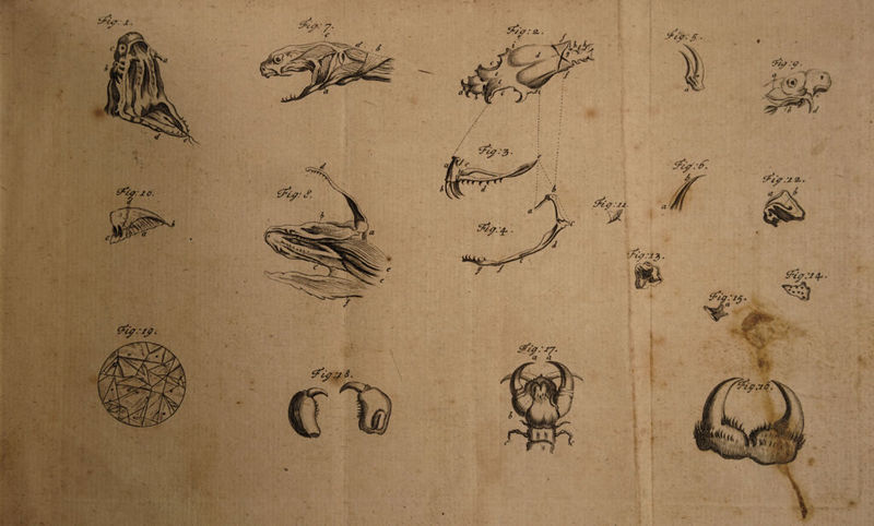 c • j t?. 2 0 .. ' x_y . •. '* ''si-