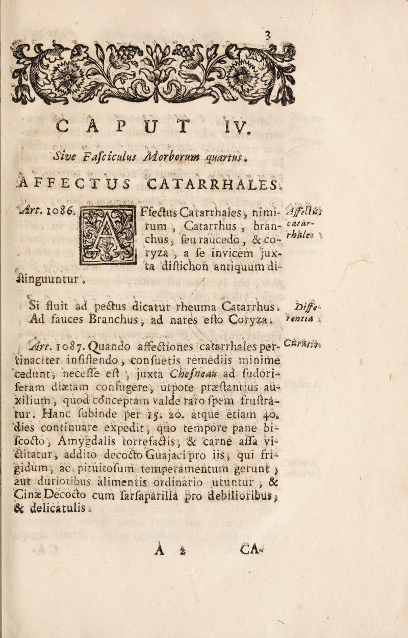 f*-. $ r«v A . ru h. * te 'Sive Fafciculus Morborum quartus. .AFFECTUS CATARRHALES 'Cirt. io86, 'SaSS Ffedus Catarrhaies? ni mi- fffie rura ' Catarrhus , bran- | ’ • , ' _ St . iiinguuntur ; chiis 2 feu raucedo , & co¬ li ryza ys a Te invicem jux- * ta diflichon 'antiquum df rbkies \ $ ,v . '•< .. > % , 4- • ■, ^ C>i fluit ad pedus dicatur rheuma Catarrhus» niffe- Ad fauces Branchus, ad nares efto Coryza. ^tntU * ... \\ : ' , V . .. v >1 , ,,v , ; . Art. 1087. Quando aifediones caharrhales per- tinaciter inhflendo ? confuetis remediis minime cedunt* nece fle eft juxta Ckefnem ad fudori- feram diaetam confugere\ utpote proflant i us au¬ xilium , quod conceptam Valde raro fpem fru lira¬ tur. Hanc fubinde per 15, 20. atque etiam 40» dies continuare expedit\ quo tempore pane bf fcoddy Amygdalis torrefacis) carne afla vi* bitatur , addito decosfto Gtiajaci pro iis ^ qui fri¬ gidum 5 ac p i tu i tofum temperamentum gerunt) aut durioribus Cinas Decocto K- , 't <k delicatulis. alimentis ordinario utunturj 8c cum farfaparilla pro debilioribus ^ A i CA«