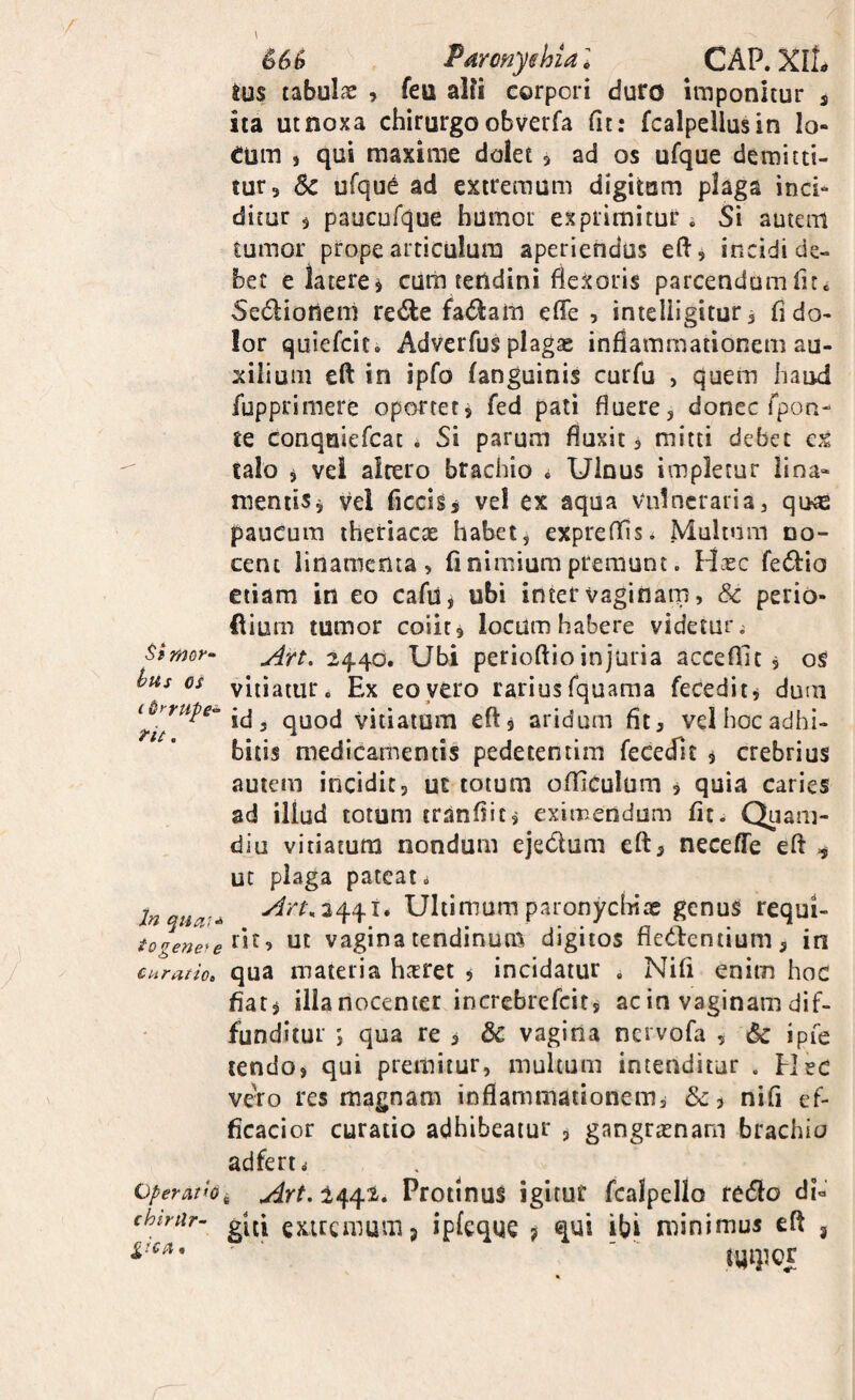 St mof-' hiis os rit, In togene> e c urat io t Operatio chirtlr- gtca • 666 Paronychia: CAP.XlL ius tabulae ? feu alfi corpori duro imponitur ^ ita ut noxa chirurgo obverfa fit: fcalpellusin lo- Cum , qui maxime dolet 5 ad os ufque demitti¬ tur, Sc ufque ad extremum digitum plaga inci¬ ditur , paucufque humor exprimitur. Si autem tumor prope articulum aperiendus eftj incidi de¬ bet e latere j cum tendini flexoris parcendum fiCc Sedioneni redle fadara efie , inteliigitur ^ fi do¬ lor quiefcic. Adverfus plagae inflammationem au¬ xilium eft in ipfo fanguinis curfu , quem haud fupprimere oportet^ fed pati fluere, donec fpoa- te conquiefcat i Si parum fluxit, mitti debet c% talo i vei altero brachio * Uinus impletur lina» mentisj vel ficcis^ vel ex aqua vulneraria, quas paucum theriacae habet, expreffis. Multum no¬ cent linamenta, fi nimiam premunt. H.^c fedtio etiam in eo cafuj ubi inter vaginam, & perio- dium tumor coiit, locum habere videtur; Art. 2440. Ubi perioflio injuria accefilt, os vitiatur. Ex eo vero rarius fquama feceditj dum id, quod vitiatum eft, aridum fit, vel hoc adhi¬ bitis medicamentis pedetentim fecedit j crebrius autem incidit, ut totum ofTiCuIum , quia caries ad illud totum tranfiitj eximendum fit; Quam- diu vitiatum nondum eje(5tum eft, neceffe eft ut plaga pateat; Art\2t\.t^t» Ultimum paronyciiiae genuS requi¬ rit, ut vagina tendinum digitos flecftentium, in qua materia hsret , incidatur . Nifi enim hoc fiati illa nocenter increbrefeit, ac in vaginam dif¬ funditur ; qua re , & vagina nervofa , & ipfe tendo, qui premitur, multum intenditur . Plec veto res magnam inflammationem, nifi ef- ficacior curatio adhibeatur , gangraenam brachio adfert; s Art. 244^. Protinus igitur fcalpello retfto di« giti extremum 5 ipleque ? qui ibi minimus eft , mipor