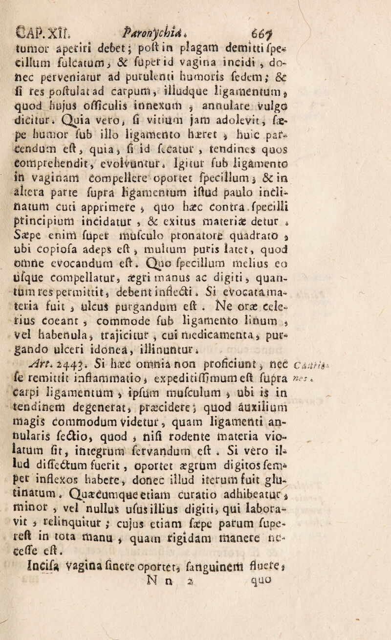 tunioi’ apetiri debet; poli in plagam demittifpe^ cillum fulcatum^ & rupei id vagina incidi j do- iiec pervediarur ad purulenti humoris fedem; fi res pofiulat ad carpum, iHodque ligamentum § quod hujus ofiiculis innexum 5 annulare vulgd dicitur* Quia verOi fi vitium jara adolevit, f^e- pe humor (ub illo ligamento hjsret j huic par¬ cendum eft> quia, fi id fecatut’ , tendines quos Comprehendit, evolvuntur * Igicur fub ligamento sn vaginam Compellere Oportet fpeciilumi <5c ia altera parte fupra ligamentum ifiud paulo incli¬ natum cuti apprimere , quo haec Contra.fpecilii principium incidatur ^ & exitus materias detur ^ S^epe enim fupefe mufculo ptonatore quadrato a ubi copiofa adeps eft , multum puris latet, quod omne evocandum cft* Quo fpeciilum melius eo lifqUe compellatur, aegri manus ac digiti, quan¬ tum res permittit, debent infiedli * Si eVocatama¬ teria fuit , uIcuS purgandum eft . Ne orae cele¬ rius coeant , commode fub ligamento linum , vel habenula, trajicitur , cui rtiedicamenta , pur¬ gando ulceri idonea, illinuntur* Si lucc omnia non proficiunt, nec C4;ih’^s fe remittit inflammatio, expeditifTjmum eft fupra ^ies ^ carpi ligamentum , ipfum mufculum , ubi is in tendinem degenerat, procidere; quod auxilium niagis commodum Videtur, quam ligamenti an¬ nularis fetflio, quod , nifi rodente materia vio¬ latum fu, integrum fervandum efl: . Si vero il* liid di(feCtum fuerit, oportet aegrum digitos fem» pet infieXos habete, donec illud iterum fuit glu- unaium. Quacumque etiam curatio adhibeatur'^ minor , vel nullus ufUsillius digiti, qui labora^ vit , relinquitur; cujus etiam faepe parum fupe- reft in tota rtianu , quain rigidam manere rie- celTe eft. Incifa Vagina finerc oportet, fanguinciti fluere ^ N n 2 quo