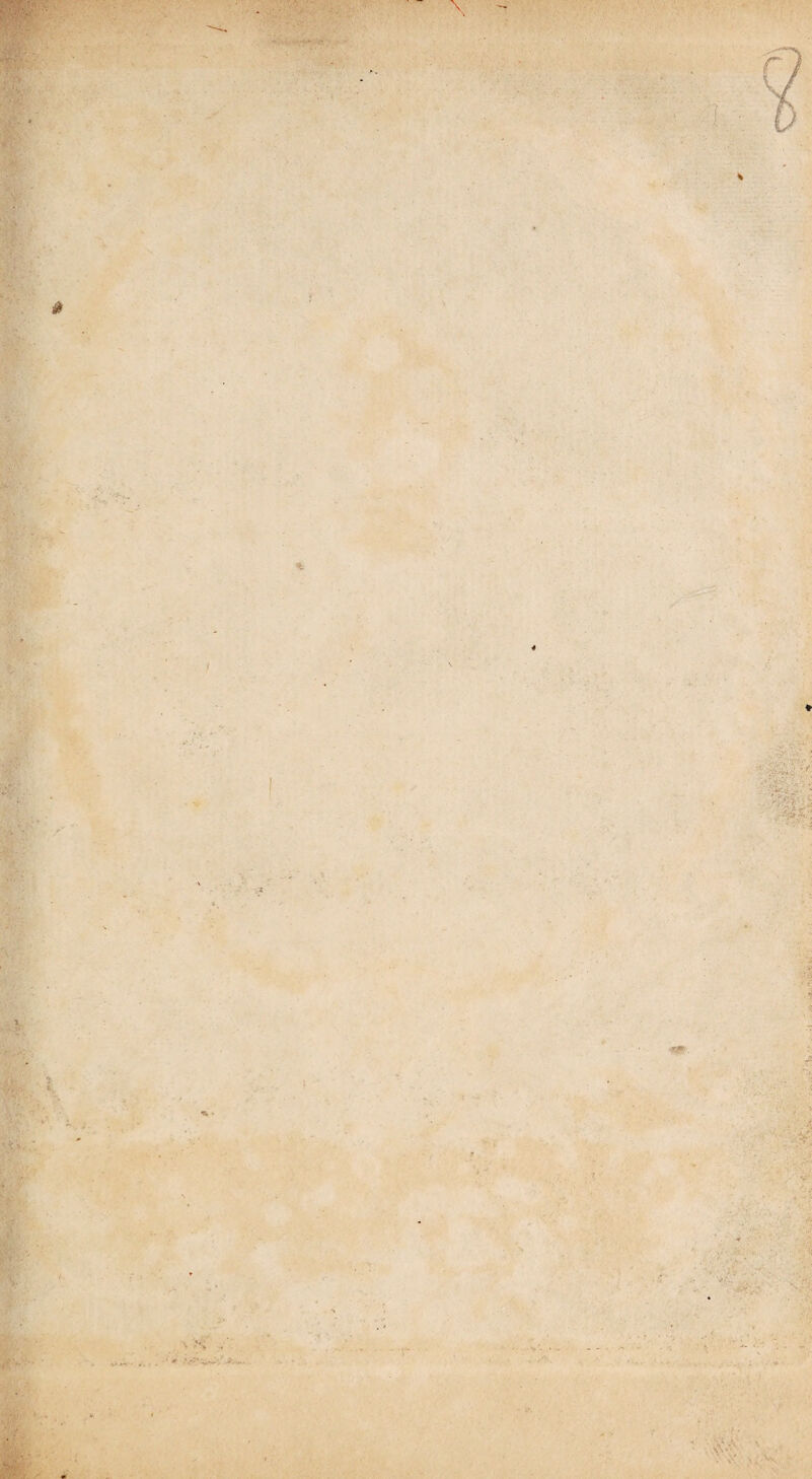 ‘V i*.. 1 • -N . * e ^1«»/ .. '■ . . --f