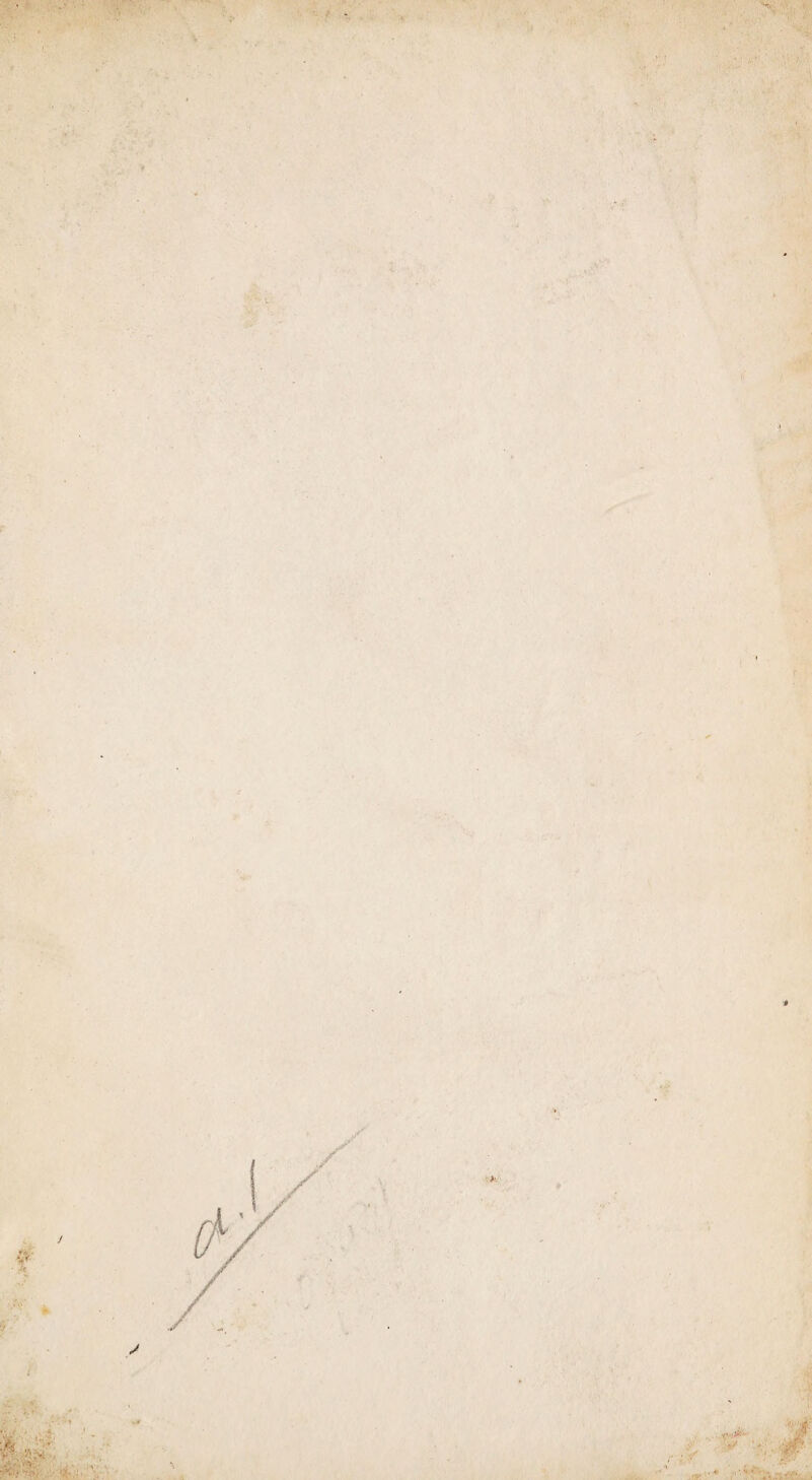 »V ■ ■ -■ ■ i