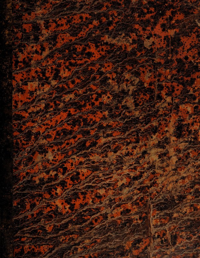 digitised image 1