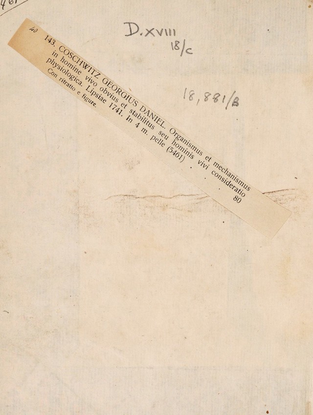 digitised image 2
