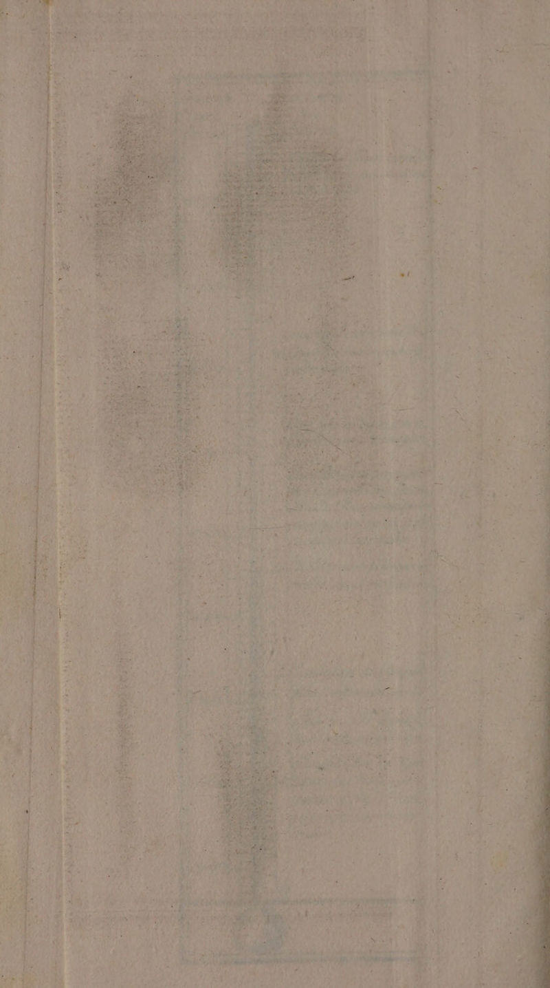 + D bé % RER EE md CE y è gant à - °# vi Fine CE CREME UT. à