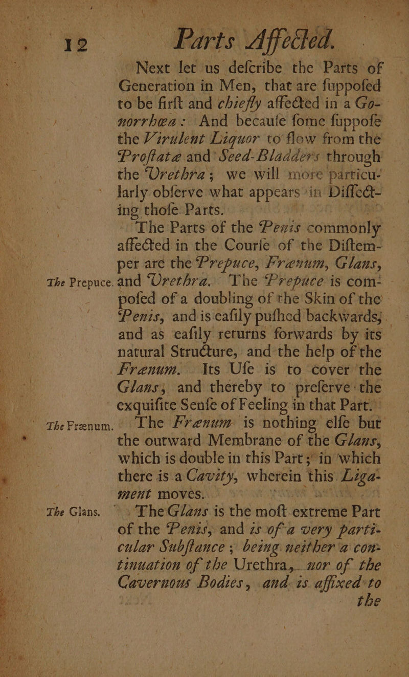 | ‘The Prepuce. Ay - ‘The Freenum. The Glans. Parts Affected, Generation in Men, that are fuppofed norrbea: And becaute fome fuppofe the Virulent Liquor to flow from thé Proftate and’ Seed-Bladders through the “Urethra; we will more particu’ ing thofe Parts. affeted in the Courle of the Diftem- and as eafily returns forwards by its natural Structure, and the help of the Frenum. ts Ule is to cover ‘the Glaus; and thereby to preferve the which is double in this Part; in which there isa Cavzty, wherein this. Lzga- ment Moves. YE eet The Glans is the moft extreme Part + &amp; 7 tinuation of the Urethra,. wor of the the