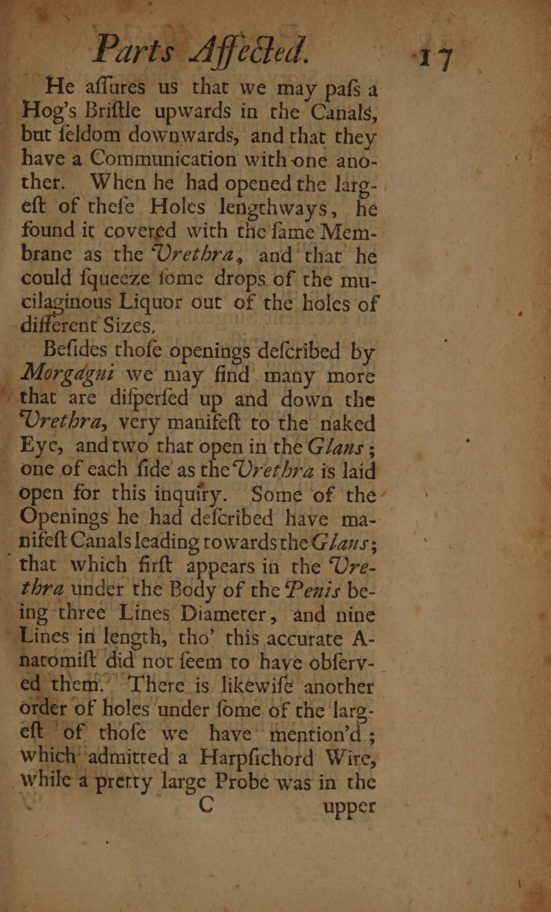 Ys oT ie! ae A Se ee ome \ care se 4, hd C . we} ry we r ~ &amp;, % ‘ “4 % -different Sizes, be es } a. Befides thofe openings defcribed by Morgagui we may find. many more&gt; ‘that are difperfedup and down the - “Vrethra, very manifeft to the naked _ Eye, andtwo that open in the G/ans ; _ one of each fide as the ‘Urethra is laid Open for this inquiry. Some of they + | | _ Openings he had defcribed have ma-. ae - nifeft Canals leading towardsthe Glaus; ey that which firft appears in the Ure- ie _ thra under the Body of the Penis be- ' ing-three Lines Diameter, and nine = e,.. Lines in length, tho’ this accurate A- a natomift did not feem to have obferv- _ ae ed them.’ There is likewifé another oe order of holes under fome of the larg- eft ‘of thofé we have’ mention’d : while’a pretty large Probe was in the | 7 fer ogee OPES a s