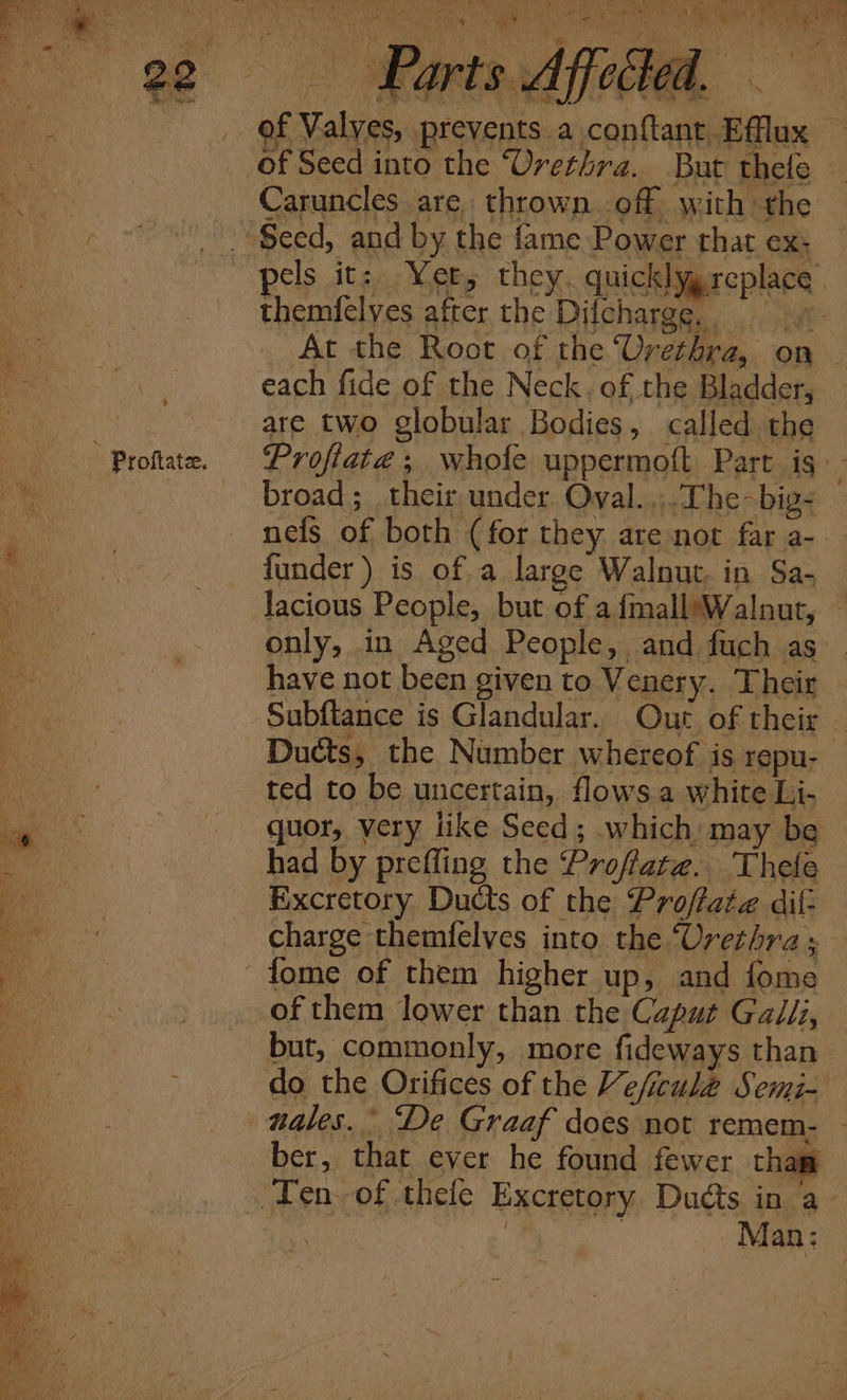 OS, Yeon ee Le ae ens ee Ae Aree Pa. y VP aS OS VER Rae ee WS eke eS eh (ee er ee OAT io tenah USAT a Oe gra Ge TR AMAL BT i Le Leen ; he te My NAR ae ena ae An = orte mt ; be Ms ¥  \ 4 [ ‘ : } 4 ea } &lt; ‘ | But thete ne Caruncles are, thrown off with the : / Seed, and by the fame Power rhat ex; Sty they. quickly replace | At the Root of the Urethra, on “Proftate. Proflate; whole uppermoft Part is: Ducts, the Number whereof is repu- 3 ted to be uncertain, flows a white Li- i te ; do the Orifices of the Veficulé Semi-