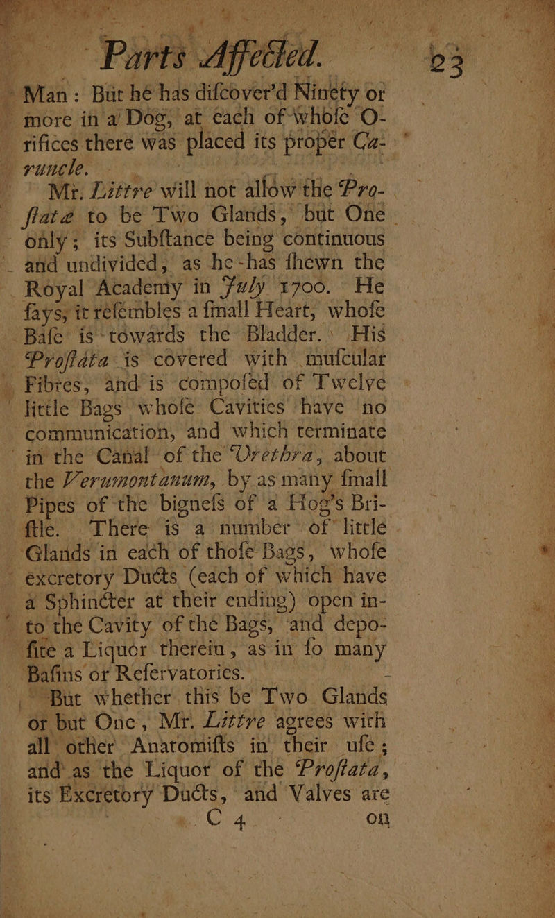 Mi. Littre will not sli the Pro- ‘oly; its Subftance being continuous _ and undivided, as he+has fhewn the _ Royal Academy in Fuly 1700. He Pe: it refembles a {mall Heart, whofe Bale is-towards the Bladdén’ His _ Profate is covered with mufcular _ Fibres, and is compofed of Twelve ' Tittle Bags whofe Cavities have no communication, and which terminate in the Canal of the Urethra, about _ Pipes of the bignels of a Hoe’s Bri- _ excretory Ducts (each of which have * to the Cavity of the Bags, and depo- fite a Liquer therein , as in fo many -~Bafins or RET rorikes “But whether this be Two Glands Oh but One, Mr. Littre agrees with all other ‘Abaromilts in Heir ule ; and as the Liquor of the Proflata, its Excretory OSS and ‘Valves are é fos ee = ee ae mbt : i * ” “ he ah - le rs « =. Ss ee Se Se &gt; Be so &gt; ae ee Pa. -. eo oe ee ea a Ot See on