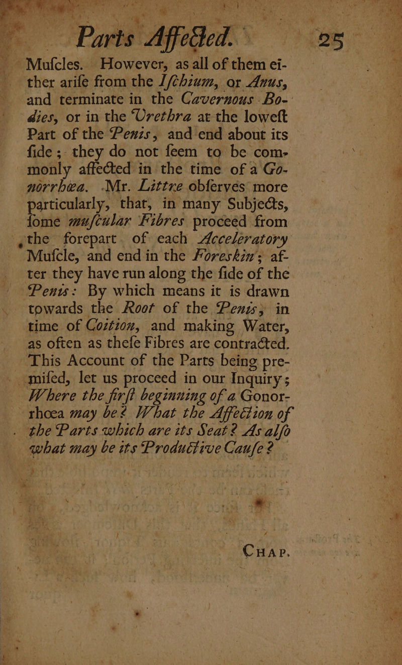 ‘s ther arife from the [/¢hzum, or Anus, and terminate in the Cavernous Bo- dies, or in the ‘Urethra at the loweft Part of the Penzs, and end about its fide ; they do not feem to be com- norrbea. Mr. Littre obferyés more particularly, that, in many Subjects, fome mufcular Fibres proceed from —— x ter they have run along the fide of the ‘Penu: By which means it is drawn towards the Root of the Penis; in as often as thefe Fibres are contracted. mifed, let us proceed in our Inquiry ; Where the firft beginning of a Gonor- thoea may be? What the Affection of the Parts which are its Seat ? As alfo ) , &amp; 4 a ae CHAP, fj ; 3 } * .