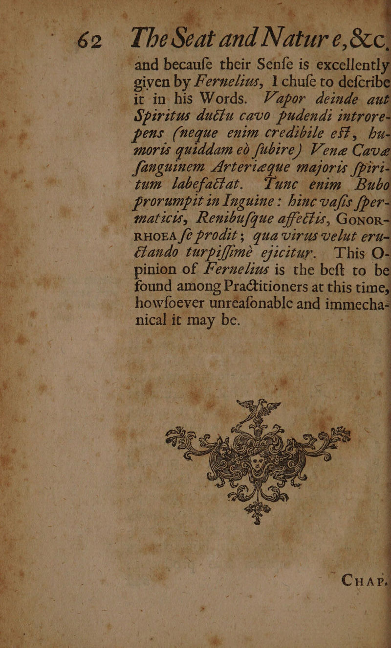 my aN a a fies Wace ve : es ie R : 7 yi i Faken) Besta 1 ie t a yt Bae : ff. Bau Ae &amp; le bs Sy iy Ed given by Fernelzus, 1 chule to defcribe pens (neque enim credibile ef, hu- moris quiddam eo fubire) Vene Cave fanguinem Arterieque majoris {piri- ‘tum labefattat. Tune enim Bubo prorumpit in Inguine: hine vafis fper- éfando turpiffime eqicitur. This O- pinion of fernelius is the beft to be found among Practitioners at this time, howfoever unréafonable and immecha= nical it may be.