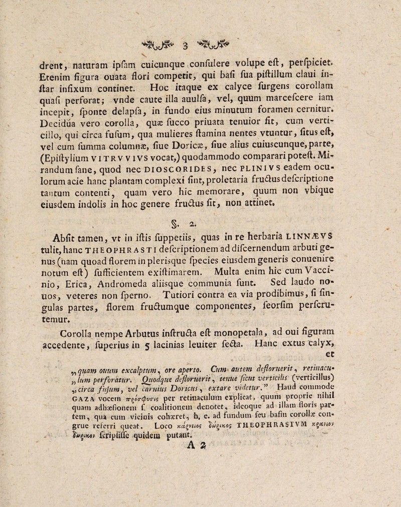 drent, naturam ipfam cuicunque confidere volupe eft, perfpiciet. Etenim figura ouata flori competit, qui bafi fua piftillum claui in¬ dar infixum continet. Hoc itaque ex calyce Turgens corollam qua fi perforat; vnde caute illa auulfa, vel, quum marcefcere iam incepit, fponte delapfa, in fundo eius minutum foramen cernitur. Decidua vero corolla, quae fucco priuata tenuior fit, cum verti*» cillo, qui circa fufum, qua mulieres flamina nentes vtuntur, fitus efi, vel cum fumma columnae, fiue Doricae, fiue alius cuiuscunque,parte, (Epiflylium vitrv v ivs vocat,) quodammodo comparari poteft. Mi¬ randum fane, quod nec dioscorides, nec plini vs eadem ocu¬ lorum acie hanc plantam complexi fint, proletaria fru<flusdefcnptione tantum contenti, quam vero hic memorare, quum non vbique eiusdem indolis in hoc genere fru&us fit, non attinet* §• 2. Abfit tamen, vt in iflis fuppetiis, quas in re herbaria linn^evs tulit, hanc Theophrasti defcriptionem addifcernendum arbuti ge¬ nus (nam quoad florem in plerisque fpecies eiusdem generis conuenire notum eft) fuflicientem exiflimarem. Multa enim hic cum Vacci¬ nio, Erica, Andromeda aliisque communia funt. Sed laudo na¬ nos, veteres non fperno, Tutiori contra ea via prodibimus, fi Un¬ gulas partes, florem fructum que componentes, feorfim perfcru- temur. Corolla nempe Arbutus inflruda efl monopetala, ad oui figuram accedente, fuperius in 5 lacinias leuiter fe&a. Hanc extus calyx, et ,, quam ouuvi excalptum, ore aperto. Cum autem defloruerit, retinacu• Ium perf oratur. Quodque defloruerit, teuue ficut verticilis (verticillus) ,, circa fujum, vel carnius Doncus, extare videturHaud commode Gaza vocem Tr^o-epvns per retinaculum explicat, quum proprie nihil quam adhaefioneni f. coalitionein denotet, ideoque ad illam floris par¬ tem, qua cum vicinis cohscret, h, e. ad fundum f eu bafi 11 corollse coii* grue referri queat. Loco xd^veio? THEOPHRASTYM fcripfifle quidem putant. A %