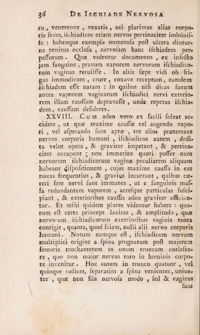 ru , venereove , vexatis , uti plurimas alias corpo¬ ris feci es, ikhiadicos etiam nervos pertinaciter indoluif- fe : habeoque exempla numerofa poft ukera diutur¬ na penitus occlufa , nervolam hanc ifchiadem per- pefforum . Quae videntur documento , ex infedto jam fanguine , pravum vaporem nervorum ifchiadico- rum vaginas reruliffe . In aliis fepe vidi ob fri¬ gus immodicum, crure, coxave receptum, eamdem ifchiadem efte natam : in quibus nifi dicas fanum antea vaporem vaginarum ifchiadici nervi exterio¬ rem illam cauffam depravaffe , unde repetas ifchia¬ dem, cauffam defideres, XXVIII. Cum adeo vero* ex facili foleat ac¬ cidere, ut . quas maxime caufiae vel augendo vapo¬ ri , vel afperando funt aptas , tot alios prastereanc nervos corporis humani , ifchiadicos autem , dedi¬ ta velut opera , 8c graviter impetant , & pertina¬ citer occupent * non immerito quxri poffer num nervorum ifchiadicorum vaginae peculiarem aliquam habeant dirpoOtionem , cujus maxime cauffa in eas noxas frequentius , & gravius incurrant , quibus cse- teri fere nervi funt immanes , ut e fanguinis maf- fa redundantem vaporem , acrefque particulas fufci- piant , 8c exterioribus cauflis adeo graviter affician¬ tur. Et mihi quidem plures videntur habere : qua¬ rum eft certe princeps laxitas , 8c amplitudo , qu^ nervorum ifchiadicorum exterioribus vaginis tanta contigit , quanta, quod fciam, nulii alii nervo corporis humani. Notum namque eft, ifchiadicum nervum multiplici origine a Ipina prognatum poft majorem femoris trochanterem in unum truncum coalefce- ye , quo non major nervus toro in hominis corpo¬ re invenitur • Hoc autem in trunco quatuor , vei quinque radices, feparatim a fpina venientes, uniun- quas non fila nervofa modo , fed & vaginas fu as 9