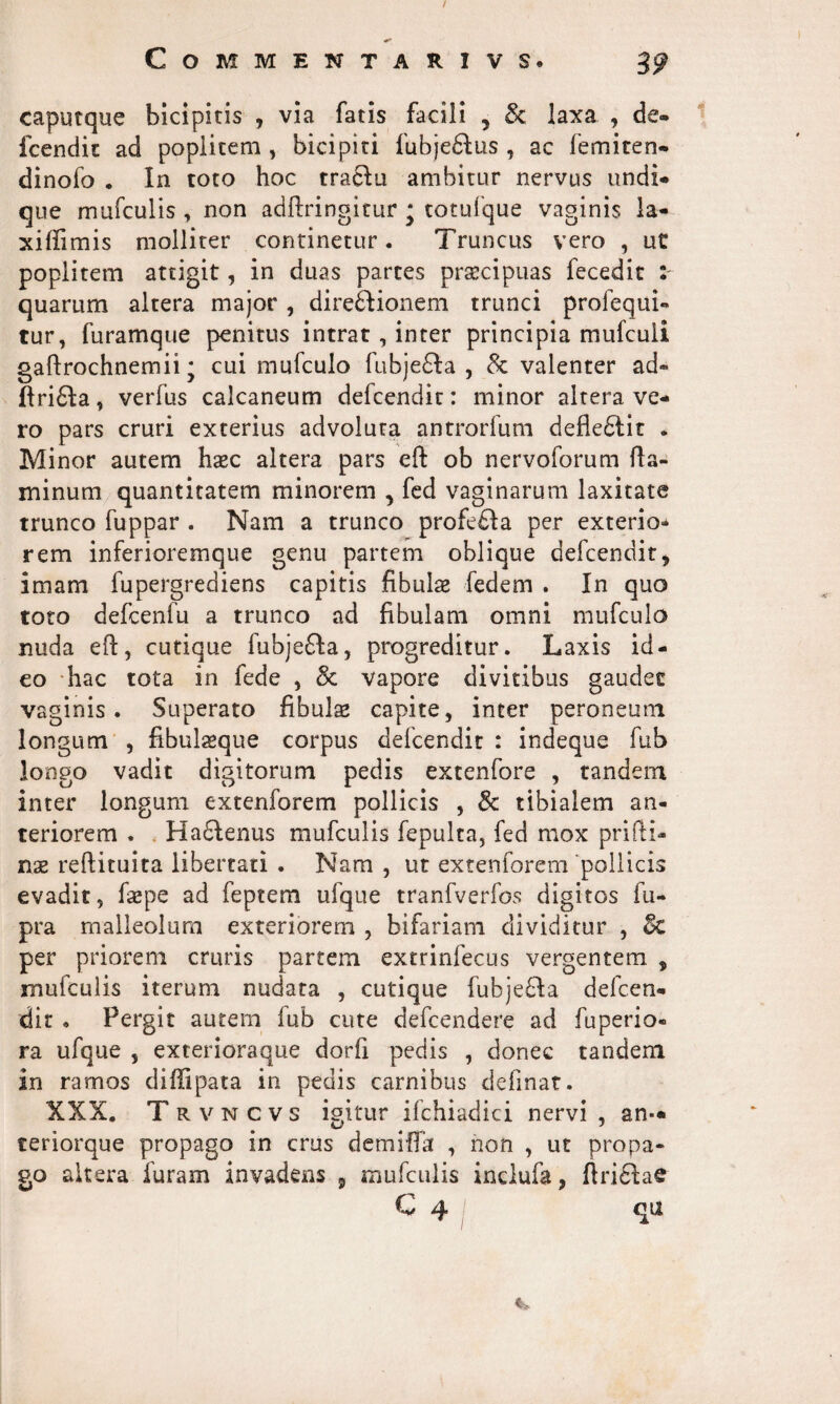 / COMMENTARIVS. caputque bicipitis , via fatis facili , & laxa , de- fcendit ad poplitem , bicipiti fubje&us , ac femiten- dinofo . In toto hoc traclu ambitur nervus undi¬ que mufculis , non adftringitur * totufque vaginis la* xiffimis molliter continetur. Truncus vero , ut poplitem attigit, in duas partes prsecipuas fecedit : quarum altera major, direftionem trunci profequi- tur, furamque penitus intrat , inter principia mufculi gaftrochnemii; cui mufculo fubjefta , & valenter ad* ftri£ta, verfus calcaneum defcendit: minor altera ve¬ ro pars cruri exterius advoluta antrorfum defle£lit . Minor autem hsec altera pars eft ob nervoforum fla¬ minum quantitatem minorem , fed vaginarum laxitate trunco fuppar . Nam a trunco profe£fa per exterio* rem inferioremque genu partem oblique defcendit, imam fupergrediens capitis fibula fed em . In quo toto defcenfu a trunco ad fibulam omni mufculo nuda eft, cutique fubje&a, progreditur. Laxis id¬ eo hac tota in fede , & vapore divitibus gaudet vaginis. Superato fibulas capite, inter peroneum longum , fibulaeque corpus defcendit : indeque fub longo vadit digitorum pedis extenfore , tandem inter longum extenforem pollicis , & tibialem an¬ teriorem . Haflenus mufculis fepulta, fed mox prifti- nx reftituita libertati . Nam , ut extenforem pollicis evadit, faepe ad feptem ufque tranfverfos digitos fu- pra malleolum exteriorem , bifariam dividitur , &e per priorem cruris partem extrinfecus vergentem , mufculis iterum nudata , cutique fubjefta defcen¬ dit . Pergit autem fub cute defcendere ad fuperio» ra ufque , exterioraque dorfi pedis , donec tandem in ramos diffipata in pedis carnibus definat. XXX. T r v n c v s igitur ifchiadici nervi , an- teriorque propago in crus demifla , non , ut propa¬ go altera furam invadens 9 mufculis inclufa, ftriclae