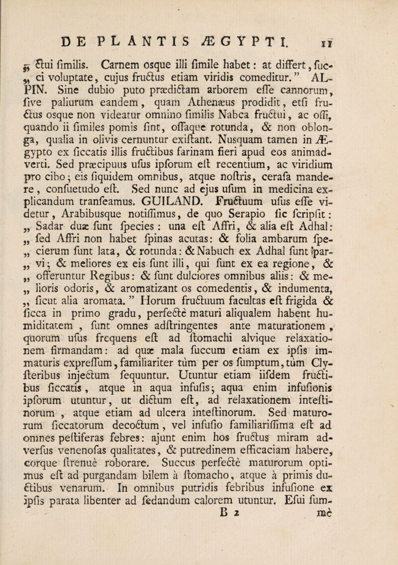 55 55 55 55 55 ^ flui fimilis. Carnem osque illi fimile habet: at differt, fuc- 3, d voluptate, cujus fruflus etiam viridis comeditur. ” AL- PIN. Sine dubio puto praediftam arborem effe cannorum, live paliurum eandem, quam Athenaeus prodidit, etfi fru¬ flus osque non videatur omnino fimilis Nabca fruflui, ac offi, quando ii fimiles pomis fint, ofTaque rotunda, & non oblon¬ ga, qualia in olivis cernuntur exiftant. Nusquam tamen in iE- gypto ex ficcatis illis fruflibus farinam fieri apud eos animad¬ verti. Sed praecipuus ufus ipforum elb recentium, ac viridium pro cibo; eis fiquidem omnibus, atque noftris, cerafa mande¬ re , confuetudo eft. Sed nunc ad ejus ufum in medicina ex¬ plicandum tranfeamus. GUILAND. Frufluum ufus effe vi¬ detur , Arabibusque notiffimus, de quo Serapio lic fcripfit : Sadar duae funt fpecies; una efl Affri, & alia eft Adhal: fed Affri non habet fpinas acutas: & folia ambarum fpe- cierum funt lata, & rotunda: &Nabuch ex Adhal funtfpar- vi; & meliores ex eis funt illi, qui funt ex ea regione, & offeruntur Regibus: & funt dulciores omnibus aliis: & me- „ lioris odoris, & aromatizant os comedentis, & indumenta, ,, ficut alia aromata. Horum frufluum facultas eft frigida & ficca in primo gradu, perfefle maturi aliqualem habent hu- miditatem , funt omnes adftringentes ante maturationem , quorum ufus frequens eft ad ftomachi alvique relaxatio¬ nem firmandam: ad qux mala fuccum etiam ex ipfis im¬ maturis expreffum5 familiariter tum per os fumptum,tum Cly- fteribus injeflum fequuntur. Utuntur etiam iifdem frufli¬ bus ficcatis, atque in aqua infufis; aqua enim infufionis ipforum utuntur, ut diflum eft, ad relaxationem intefti- norum , atque etiam ad ulcera inteftinorum. Sed maturo¬ rum ficcatorum decoflum, vel infufio familiariflima eft ad omnes peltiferas febres: ajunt enim hos fruflus miram ad- verfus venenofas qualitates, & putredinem efficaciam habere, corque ftrenue roborare. Succus perfefle maturorum opti¬ mus eft ad purgandam bilem a ftomacho, atque a primis dii- flibus venarum. In omnibus putridis febribus infufione ex ipfis parata libenter ad fedandum calorem utuntur. Efui fum- B 2 mc