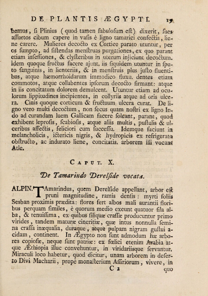 DE PLANTIS iEGYPTt Lemus 5 fi Plinius ( quod tamen fabulofum eft) dixerit, fues* alTuetos cibum capere in vafis e ligno tamarici confeclis, lie¬ ne carere. Mulieres decoflio ex Cortice parato utuntur, per os fumpto 5 ad fidendas menftruas purgationes, ex quo parant etiam infeffiones, & clyfteribus in uterum injiciunt deco6lum. idem quoque fru6lus facere ajiint. iis fiquidem utuntur in fpu- to fanguinis, in lienteriis, & in menftruis plus jufto fiuenti- bus, atque hsemorrhoidarum immodico fluxu, dentes etiam commotos, atque collabentes ipforum decofto firmant: atque in iis concitatum dolorem demulcent. Utuntur etiam ad ocu¬ lorum lippitudines incipientes, in collyriis atque ad oris ulce¬ ra. Cinis quoque corticum & fruftuum ulcera curat. De li¬ gno vero multi decoblum, non fecus quam noftri ex ligno In¬ do ad curandam luem Gallicam facere foleant, pai*ant, quod exhibent leprofis, fcabiofis, atque aliis multis, puftulis & ul¬ ceribus alFeftis, feliciori cum fuccelTu. Idemque faciunt in melancholicis, iftericis nigris, & hydropicis ex refrigerata obflruclo, ac indurato liene, concitatis, arborem illi vocaal Atle, Caput. X. 2)^ Tamarindo ^ereljide vocata, ALPIN.^^Amarindus, quem Derelfide appellant, arbor eft X pruni magnitudine, ramis denfis : myrti foliis Sesban proximis praedita: flores fert albos mali aurantii flori¬ bus perquam fimiles, e quorum medio exeunt quatuor fila al¬ ba, & tenuifiima, ex quibus filiquae craflae producuntur primo virides, tandem maturae cineritiae, quae intus nonnulla femi¬ na crafla inaequalia, duraque atque pulpam nigram guilui a- cidam, ^ continent. In iEgypto non funt admodum hae arbo¬ res copiofae, neque funt patriae: ex foelici etenim A^bia at¬ que u®thiopia illuc convehuntur, in viridariisque fervantur. Miraculi loco habetur, quod dicitur, unam arborem in defer¬ to Divi Macharii, prope monaflerium Affiriorum, vivere, in