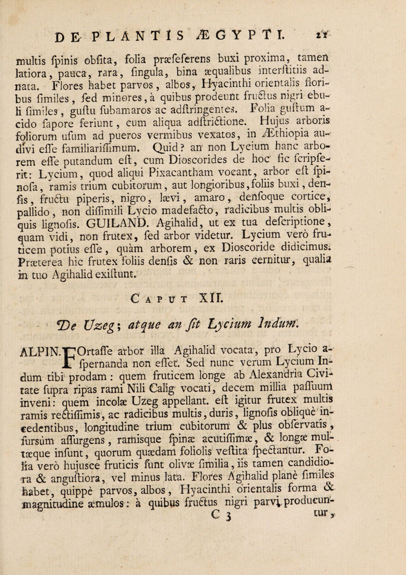 D E P L A N T I S ^ G Y P T I. multis fpinis obfita, folia prsefeferens buxi proxima, tamen latiora, pauca, rara, fingula, bina sequalibus interftitiis ad- nata. Fiores habet parvos , albos, Hyacinthi orientalis flori¬ bus fimiles , fed minores, a quibus prooeunt frii6lus mgri ebu¬ li fimiles, guflu fubamaros ac adflringentes. Folia guftiim a- cido fapore feriunt, cum aliqua adftridlione.^ Hujus arboris foliorum ufum ad pueros vermibus vexatos, in i®thiopia au-^ divi efle familiarifllmum. Quid? au non Lycium hanc arbo¬ rem efle putandum efl, cum Dioscorides de hoc' lic fcripfe- rit: Lycium, quod aliqui Pixacantham vocant, arbor efl; ipi- Bofa, ramis trium cubitorum, aut longioribus,foliis buxi, den- fis, frudlu piperis, nigro, kvi, amaro, denfoque cortice, pallido, non difTimili Lycio madefafto, radicibus multis obli¬ quis lignofis. GUILAND. Agihalid, ut ex tua defcriptione, quam vidi, non frutex, fed arbor videtur. Lycium vero fru¬ ticem potius efle, quam arborem, ex Dioscoride didicimus; Prteterea hic frutex foliis denfis & non raris cernitur, qualia in tuo Agihalid exiflunt. G A p u T xrr. ^ 2)^ Uzeg\ atque an Jit Lycium Indum'. . ALPlN.TTO^tsff^ ^^bor illa Agihalid vocata, pro Lycio a-- IT fpernanda non eflet. Sed nunc verum Lycium Im dum tibf prodam : quem fruticem longe ab Alexandrk Civi¬ tate fupra ripas rami Nili Calig vocati, decem millia palTuum inveni: quem incolae Uzeg appellant, efl igitur frutex^ multis ramis redlifllmis , ac radicibus multis, duris, lignofis oblique' in¬ cedentibus , longitudine trium cubitorum' & plus oBfervatis, liirsiim afllirgens, rarhisque fpinae acutiflimae, & longae mul- tceque infunt, quorum quaedam foliolis’veftita'fpeflaUtur. Fo¬ lia vero hujusce fruticis funt olivae fimilia, iis tamen candidio¬ ra & anguftiora, vel minus iata. Flores Agihalid plane fimiles habet , quippe parvos, albos, Hyacinthi orientalis forma & magnitudine imulos: a quibus fruSus nigri parvv producum C 3 ^