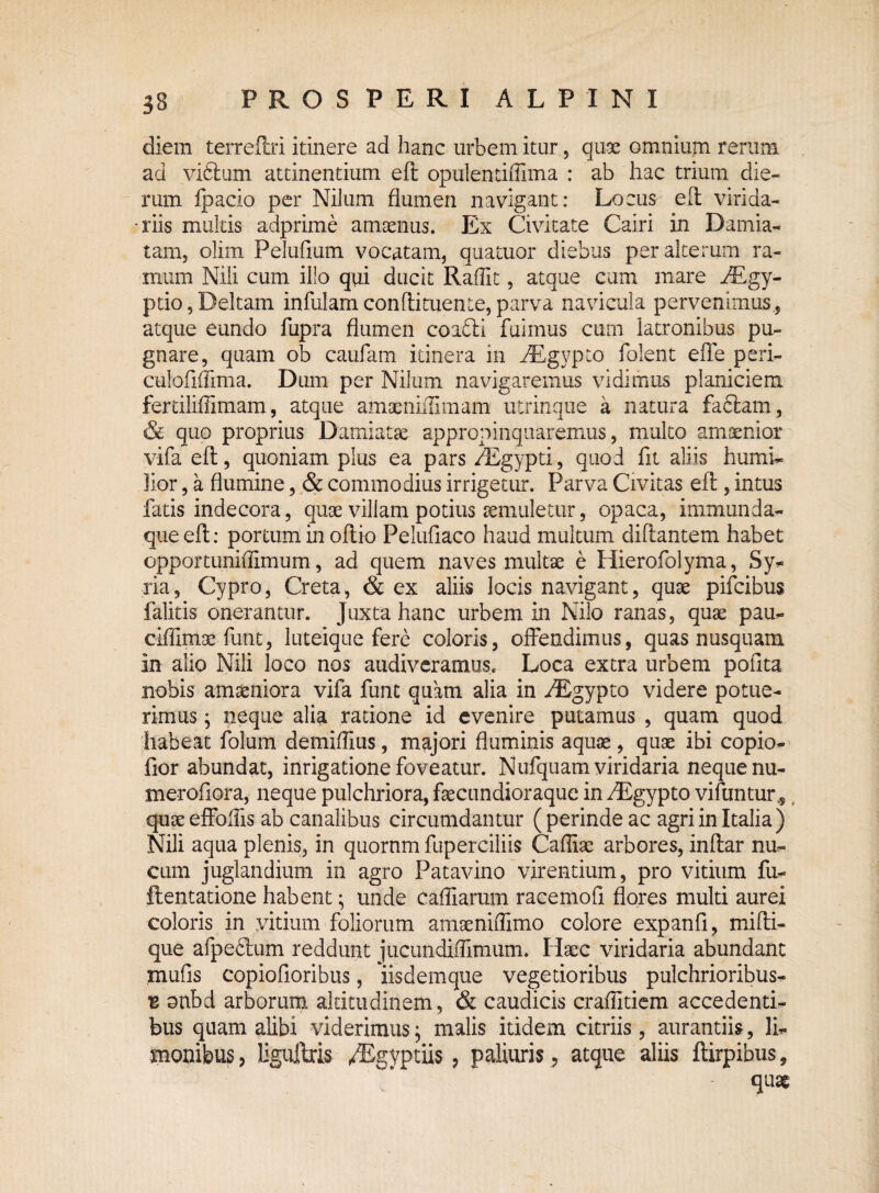 diem terreftri itinere ad hanc urbem itur, quae omnium rerum ad vidlum attinentium efl opulentiffima : ab hac trium die¬ rum Ipacio per Nilum flumen navigant: Locus efl virida¬ riis multis adprime amoenus. Ex Civitate Cairi in Damia- tam, olim Pelufium vocatam, quatuor diebus per alterum ra¬ mum Nili cum illo qui ducit Raflit, atque cum mare iEgy- ptio,Deltam infulam confli tuente, parva navicula pervenimus, atque eundo fupra flumen coafli fuimus cum latronibus pu¬ gnare, quam ob caufam itinera in AEgypto folent effe peri- culoflffima. Dum per Nilum navigaremus vidimus planiciem ferdliflimam, atque amaeniffimam utrinque a natura fa£lam, & quo proprius Damiatat appropinquaremus, multo amoenior vifa efl, quoniam pius ea pars fEgypti, quod fit aliis humi¬ lior , a flumine, & commodius irrigetur. Parva Civitas efl, intus fatis indecora, quae villam potius aemuletur, opaca, immunda- que efl: portum in oftio Pelufiaco haud multum diflantem habet opportuniflimum, ad quem naves multae e Hierofolyma, Sy¬ ria, Cypro, Creta, & ex aliis locis navigant, quae pifcibus falitis onerantur. Juxta hanc urbem in Nilo ranas, quae pau- ciflim3e funt, luteique fere coloris, offendimus, quas nusquam in alio Nili loco nos audiveramus. Loca extra urbem pofita nobis amaeniora vifa fune quam alia in AEgypto videre potue¬ rimus ; neque alia ratione id evenire putamus , quam quod habeat folum demiffius, majori fluminis aquae, quae ibi copio- fior abundat, inrigatione foveatur. Nufquam viridaria neque nu- merofiora, neque pulchriora, faecundioraquc inriEgypto vifuntur* quae effodis ab canalibus circumdantur (perinde ac agri in Italia ) Nili aqua plenis, in quornm fuperciliis Cafliae arbores, inftar nu¬ cum juglandium in agro Patavino virentium, pro vitium fu- ftentatione habent; unde cafliarum racemofi flores multi aurei coloris in vitium foliorum amaeniflimo colore expanfi, mifti- que afpeflum reddunt jucundiflimum. Haec viridaria abundant mufis copiofioribus, lisdemque vegetioribus pulchrioribus- b onbd arborum altitudinem, & caudicis craflitiem accedenti¬ bus quam alibi viderimus; malis itidem citriis, aurantiis, li- monibus, liguffris /Egyptiis , paliuris, atque aliis ftirpibus, quae