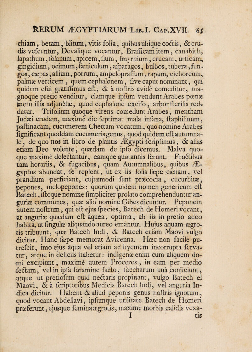 ^chiarn, betam, blitum, vitis folia, quibus ubique coftis, & cru¬ dis vefcuntur, Devalique vocantur, Brafiicamitem, canabith, lapathum, folanum, apicem, lium, fmyrnium, erucam, urticam, gingidium, ocimum, feniculum, afparagos, bulbos, tubera, fun¬ gos , caepas, allium, porrum, ampelopraffum, rapum, cichoreum, palmae verticem , quem cephalonem, five caput nominant, qui quidem efui gratifiimus eft, & a no (iris avide comeditur, ma- gnoque pretio venditur, clamque ipfum vendunt Arabes poenae tnetu illis adjunftse, quod cephalone excifo , arbor Iterilis red¬ datur. Trifolium quoque virens comedunt Arabes, mentham Judaei crudam, maxime die feptima: mala infana, ftaphilinum, paftinacam, cucumerem Chettam vocatum , quo momine Arabes fignificant quoddam cucumeris genus, quod quidem eft autumna¬ le , de quo nos in libro de plantis AEgypti fcripfimus, & alias etiam Deo volente, quaedam de ipfo dicemus. Malva quo¬ que maxime deleftantur, eamque quotannis ferunt. Fruftibus tam horariis, & fugacibus, quam Autumnalibus, quibus AE- gyptus abundat, fe replent, ut ex iis folis faepe csenam, vel prandium perficiant, cujusmodi funt praecocia , cucurbitae, pepones, melopepones: quorum quidem nomen genericum eft Batech, ifloque nomine fimpliciter prolato comprehenduntur an- guriae communes, quae alio nomine Gibes dicuntur. Peponem autem noftrum, qui eft ejus fpecies, Batech de Homeri vocant, at anguriae quaedam eft aquea, optima, ab iis in pretio adeo habita, ut lingulae aliquando aureo emantur. Hujus aquam aegro¬ tis tribuunt, quae Batech Indi, & Batech edam Maovi vulgo dicitur. Hanc faepe memorat Avicenna. Haec non facile pu- trefcit, imo ejus aqua vel edam ad hyemem incorrupta ferva¬ tur, atque in deliciis habetur: indigenae enim cum aliquem do¬ mi excipiunt, maxime autem Proceres , in eam per medio feftam, vel in ipfa foramine fa6to, faccharum una conjiciunt, atque ut pretiofum quid nedlaris propinant, vulgo Batech ei Maovi, & a fcriptoribus Medicis Batech Indi, vel anguria In¬ dica dicitur. Habent & aliud peponis genus noftris ignotum, quod vocant Abdellavi, ipfumque utilitate Batech de Homeri praeferunt, ejusque femina aegrotis, maxime morbis calidis vexa-