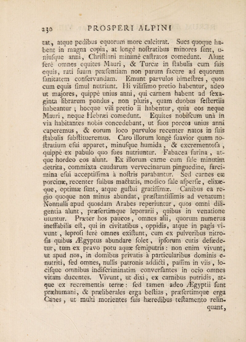2 tat 5 atque pedibus equorum more calcitrat. Sues quoque ha¬ bent in magna copia, at longe noitratibus minores funt, u- niufque anni, Chriftiani minime caffratos comedunt. Alunt fere omnes equites Mauri, & Turae in fiabulis cum fuis equis, rati fuurn prsefentiam non parum facere ad equorum fanitatem confervandam. Emunt parvulos bimeftres, quos cum equis fimul nutriunt. Hi viliffimo pretio habentur, adeo ut majores, quippe unius anni, qui carnem habent ad fexa- ginta librarum pondus, non pluris, quam duobus feflertiis habeantur ; hocque vili pretio ii habentur, quia eos neque Mauri, neque Hebraei comedunt. Equites nobifcum una in via habitantes nobis concedebant, ut fuos porcos unius anni caperemus, & eorum loco parvulos recenter natos in fuis itabulis fubftituereinns. Caro illorum longe fuavior quam no- ftradum efui apparet, minufque humida , & excrementofa , quippe ex pabulo quo fues nutriuntur. Fabacea farina , at¬ que hordeo eos aiunt. Ex illorum carne cum fale minutim detrita, commixta caudarum vervecinarum pinguedine, farci¬ mina efui acceptiffima a noflris parabantur. Sed carnes ese porcinse, recenter fuibus madlatis, modico fale afperfae, elixse- que, optimae funt, atque guftui gratiffimoe. Canibus ea re¬ gio quoque non minus abundat, prseRantiffimis ad venatum: Nonnulli apud quosdam Arabes reperiuntur, quos omni dili¬ gentia alunt, prscfertimque leporarii, quibus in venatione utuntur. Prseter hos paucos, omnes alii, quorum numerus ineffabilis eit, qui in civitatibus , oppidis, atque in pagis vi¬ vunt , leprofi fere omnes exitium, cum ex pulveribus nitro- fis quibus ABgyptus abundare folet, ipforum cutis defsede- tur , tum ex pravo potu aquse femiputris: non enim vivunt, ut apud nos, in domibus privatis a particularibus dominis e- nutrki, fed omnes, nullis patronis addidli, paffim in viis , lo- cifque omnibus indifcriminatim converfantes in ocio omnes vitam ducentes. Vivunt, ut dixi, ex carnibus putridis, at¬ que ex recrementis terrae: fed tamen adeo /Egyptii funt prsehumani, & praeliberales erga beflias, praefertimque erga Canes, ut multi morientes fuis hseredibus teftamemo relin¬