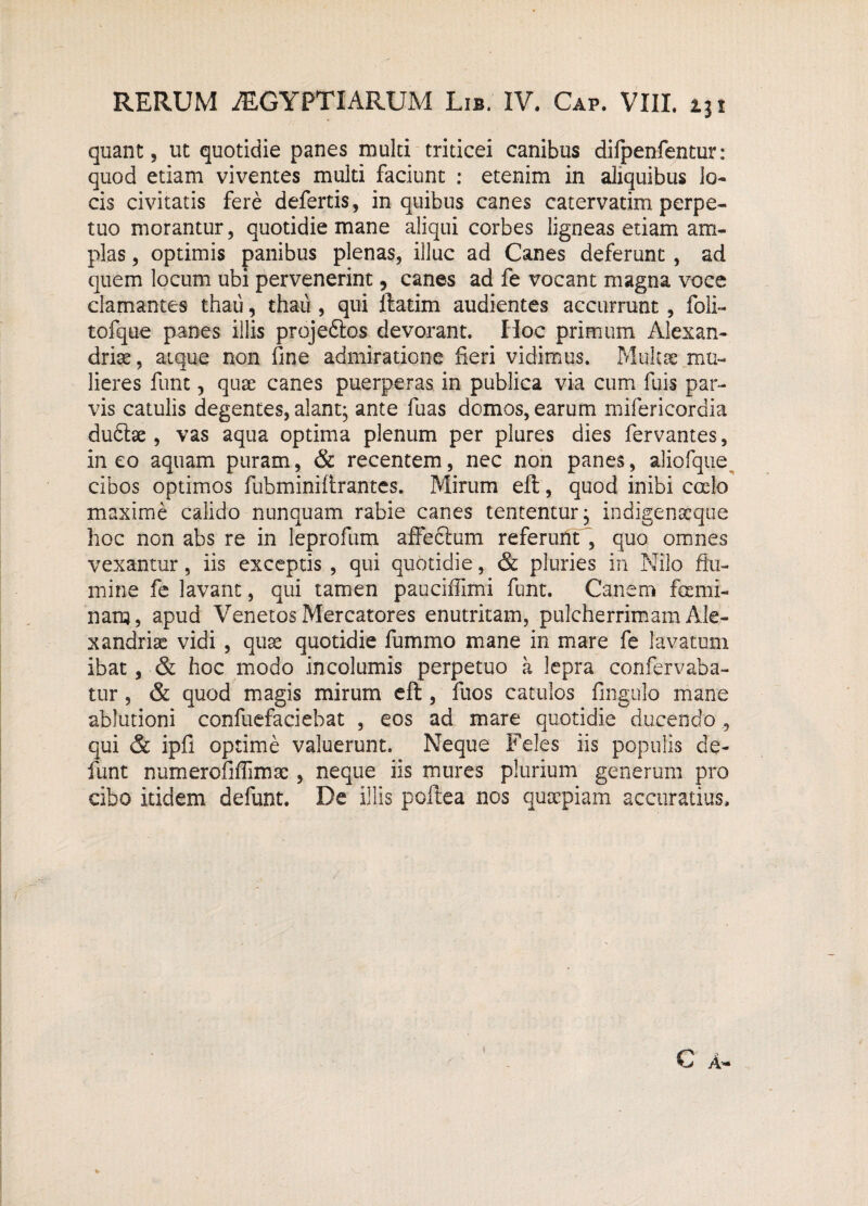 quant, ut quotidie panes multi triticei canibus difpenfentur: quod etiam viventes multi faciunt : etenim in aliquibus lo¬ cis civitatis fere defertis, in quibus canes catervatim perpe¬ tuo morantur, quotidie mane aliqui corbes ligneas etiam am¬ plas , optimis panibus plenas, illuc ad Canes deferunt , ad quem locum ubi pervenerint, canes ad fe vocant magna voce clamantes thau, thau , qui ftatim audientes accurrunt, foli- tofque panes illis projedtos devorant. IIoc primum Alexan- drise, atque non fine admiratione fieri vidimus. Multae mu¬ lieres funt, quge canes puerperas in publica via cum fuis par¬ vis catulis degentes, alant; ante fuas domos, earum mifericordia dudfoe , vas aqua optima plenum per plures dies fervantes, ineo aquam puram, & recentem, nec non panes, aliofque cibos optimos fuhminiftrantes. Mirum eft, quod inibi coelo maxime calido nunquam rabie canes tententur; indigenaeque hoc non abs re in leprofum affectum referunt , quo omnes vexantur, iis exceptis , qui quotidie, & pluries in Nilo flu¬ mine fe lavant, qui tamen pauciffimi funt. Canem foemi- nam, apud Venetos Mercatores enutritam, pulcherrimam Ale- xandrise vidi , quae quotidie fummo mane in mare fe lavatum ibat, & hoc modo incolumis perpetuo a lepra confervaba- tur, & quod magis mirum eft , fuos catulos fingulo mane ablutioni confuefaciebat , eos ad mare quotidie ducendo , qui & ipfi optime valuerunt. Neque Feles iis populis de- funt numerofiffimse, neque iis mures plurium generum pro cibo itidem defunt. De illis poftea nos quaepiam accuratius.