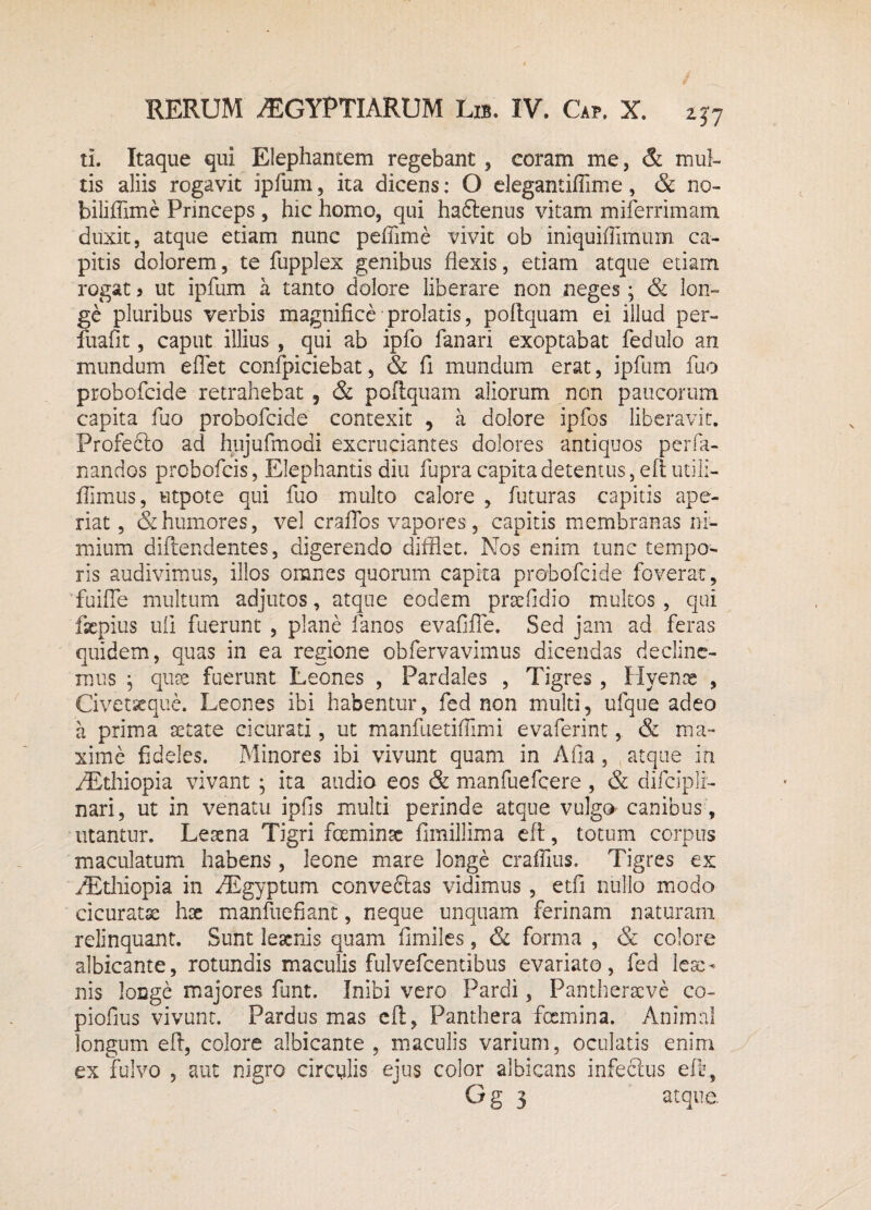 ti. Itaque qui Elephantem regebant, coram me, & mul¬ tis aliis rogavit ipfum, ita dicens: O elegantiflime, & no- biliffime Princeps, hic homo, qui ha&enus vitam miferrimam duxit, atque etiam nunc peffime vivit ob iniquiffimum ca¬ pitis dolorem, te fupplex genibus flexis, etiam atque etiam rogat i ut ipfum h tanto dolore liberare non neges; & lon¬ ge pluribus verbis magnifice prolatis, poftquam ei illud per- fuafit, caput illius , qui ab ipfo fanari exoptabat fedulo an mundum eflet confpiciebat, & fi mundum erat, ipfum fuo probofcide retrahebat ? & poftquam aliorum non paucorum capita fuo probofcide contexit , a dolore ipfos liberavit. Profeblo ad hujufmodi excruciantes dolores antiquos perfa- nandos probofcis, Elephantis diu fupra capita detentus, eft utili- flimus, utpote qui fuo multo calore , futuras capitis ape¬ riat, & humores, vel craffos vapores, capitis membranas ni¬ mium diftendentes, digerendo difflet. Nos enim tunc tempo¬ ris audivimus, illos omnes quorum capita probofcide foverat, fuiffe multum adjutos, atque eodem praefidio multos, qui fsepius uli fuerunt , plane fanos evafifie. Sed jam ad feras quidem, quas in ea regione obfervavimus dicendas decline¬ mus ; qute fuerunt Leones , Pardales , Tigres, Hyence , Civetacque. Leones ibi habentur, fed non multi, ufque adeo a prima setate cicurati, ut manfuetifflmi evaferint, & ma¬ xime fideles. Minores ibi vivunt quam in Afia , atque in /Ethiopia vivant ; ita audio eos & manfuefeere , & difcipli- nari, ut in venatu ipfis multi perinde atque vulgo canibus, utantur. Lesena Tigri feminsc fimillima eft, totum corpus maculatum habens, leone mare longe crafTius. Tigres ex /Ethiopia in /Egyptum conveftas vidimus, etfi nullo modo cicuratx hx manfuefiant, neque unquam ferinam naturam relinquant. Sunt leaenis quam fimiles, & forma , & colore albicante, rotundis maculis fuivefcentibus evariato, fed les> nis longe majores funt. Inibi vero Pardi, Pantherscve co- piofius vivunt. Pardus mas eft, Panthera femina. Animal longum eft, colore albicante , maculis varium, oculatis enim ex fulvo , aut nigro circulis ejus color albicans infeclus eft, G g 3 atque.