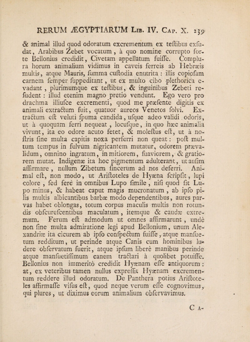 & animal illud quod odoratum excrementum ex teffibus exfu- dat, Arabibus Zebet vocatum , a quo nomine corrupto for¬ te Bellonius credidit, Civetam appellatum fuifle. Complu¬ ra horum animalium vidimus in caveis ferreis ab Hebraeis multis, atque Mauris, fumma cuftodia enutrita : illis copipfam carnem femper fuppeditant, ut ex multo cibo plethorica e- vadant , plurimumque ex teffibus, & inguinibus Zebeti re- fudent : illud etenim magno pretio vendunt. Ego vero pro drachma illiufce excrementi, quod me praefente digitis ex animali extraftum fuit, quatuor aureos Venetos folvi. Ex- traftum efl veluti fpuma candida, ufque adeo validi. odoris, ut a quoquam ferri nequeat , locufque, in quo haec animalia vivunt, ita eo odore acuto fetet, & moleftus efl:, ut a no- jflris fine multa capitis noxa perferri non queat: poft mul¬ tum tempus in fulvum nigricantem mutatur, odorem proeva- lidum, omnino ingratum, in mitiorem, fuaviorem, & gratio¬ rem mutat. Indigenae ita hoc pigmentum adulterant, utaufim affirmare , nullum Zibetum fincerum ad nos deferri. Ani¬ mal efl, non modo, ut Ariftoteles de Hyaena fcripfit, lupi colore , fed fere in omnibus Lupo fimile, nifi quod fit Lu¬ po minus, & habeat caput magis mucronatum , ab ipfo pi¬ lis multis albicantibus barbae modo dependentibus, aures par¬ vas habet oblongas, totum corpus maculis multis non rotun¬ dis obfcurefcentibus maculatum , itemque & cauda: extre¬ mum. Ferum efl admodum ut omnes affirmarunt , unde non fine multa admiratione legi apud Bellonium, unum Ale-- xandrix ita cicurem ab ipfo confpeftum fuifle, atque m an fue¬ ram redditum, ut perinde atque Canis cum hominibus lu* dere obfervatum fuerit, atque ipfum libere manibus perinde atque manfuetiflimum canem tradlari a quolibet potuifle. Bellonius non immerito credidit Hyaenam efle antiquorum : at, ex veteribus tamen nullus expreffit Hyaenam excremen¬ tum reddere illud odoratum. De Panthera potius Ariftote¬ les affirmafle vifusefl, quod neque verum efle cognovimus, qui plures, ut diximus eorum animalium obfervavimus.