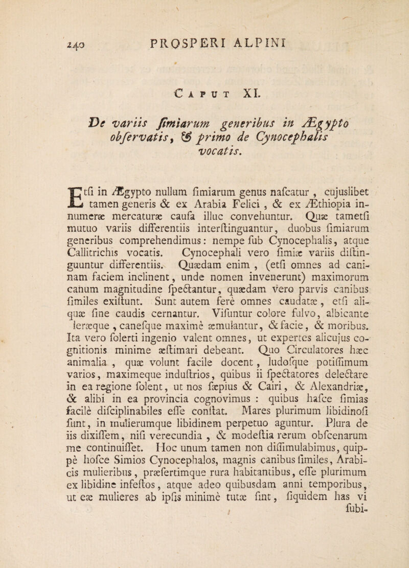 z 40 Caput XI. De variis fimi arum generibus in j^gypto obfervatis, primo de Cynocephalis vocatis. Etfi in /Egypto nullam fi miarum genus nafcatur , cujuslibet tamen generis & ex Arabia Felici 5 & ex iEthiopia in¬ numerae mercaturae caufa illuc convehuntur. Quse tametfi mutuo variis differentiis interffinguantur, duobus fimiarum generibus comprehendimus: nempe fub Cynocephalis, atque Callitrichis vocatis. Cynocephali vero fimiae variis diftin- guuntur differentiis,- Quaedam enim , (etfi omnes ad cani¬ nam faciem inclinent, unde nomen invenerunt) maximorum canum magnitudine fpe6lantur, quaedam vero parvis canibus fimiles exiffunt. Sunt autem fere omnes caudatae, etfi ali¬ quae fine caudis cernantur. Vifuntur colore fulvo, albicante leraeque , canefque maxime aemulantur, & facie, & moribus. Ita vero folerti ingenio valent omnes, ut expertes alicujus co¬ gnitionis minime aeftimari debeant. Quo Circulatores haec animalia , quae volunt facile docent, ludofque potiflimum varios, maximeque induffrios, quibus ii fpeblatores delebtare in ea regione folent, ut nos faepius & Cairi, & Alexandriae, & alibi in ea provincia cognovimus : quibus hafce fi mias facile difciplinabiles effe conilat. Mares plurimum Jibidinofl funt, in rnulierumque libidinem perpetuo aguntur. Plura de iis dixiffem, nifi verecundia , & modeffia rerum obfcenaruni me continuiffet. Hoc unum tamen non diffimulabimus, quip¬ pe hofce Simios Cynocephalos, magnis canibus fimiles, Arabi¬ cis mulieribus, praefertimque rura habitantibus, effe plurimum ex libidine infeffos, atque adeo quibusdam anni temporibus, ut eae mulieres ab ipfis minime tutae fine, fiquidem has vi fubi-