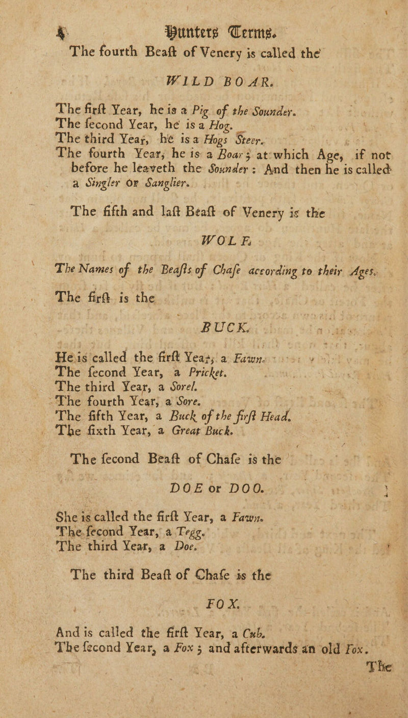 &amp; Hunters Cerms. The fourth Beaft of Venery is called the’ WILD BOAR. The firt Year, heis a Pig of the Sounder. The fecond Year, he isa Flog. The third Yeay, hé isa Hogs Sreor., The fourth Year; he is a Boars at: which Age, if not before he leaveth the Sounder: And then he is called a Stngler Or Sanglier. The fifth and laft Beaft of Venery is the WOL F; | The Names of the Beafls of Chafe according to their Ages. . The fir is the | : nail Ca He is called the firft Year; a Cis, cdibeln erae The fecond Year, a Pricket. The third Year, a Sorel. ~The fourth Year} a Sore. The fifth Year, a Buck of the firft Head. The fecond Beaft of Chafe is the — i DOE or DOO. F hi iio gee Ne bias is ‘called sid firft Year, a Fawn. 3 The.fecond Year, a Tegg. | te The third Year, a Doe. ee) hee The third Beaft of Chafe is the FON: And is called the firft Year, a Cxb. The fecond Year, a Fox 3 and afterwards an old Fox: