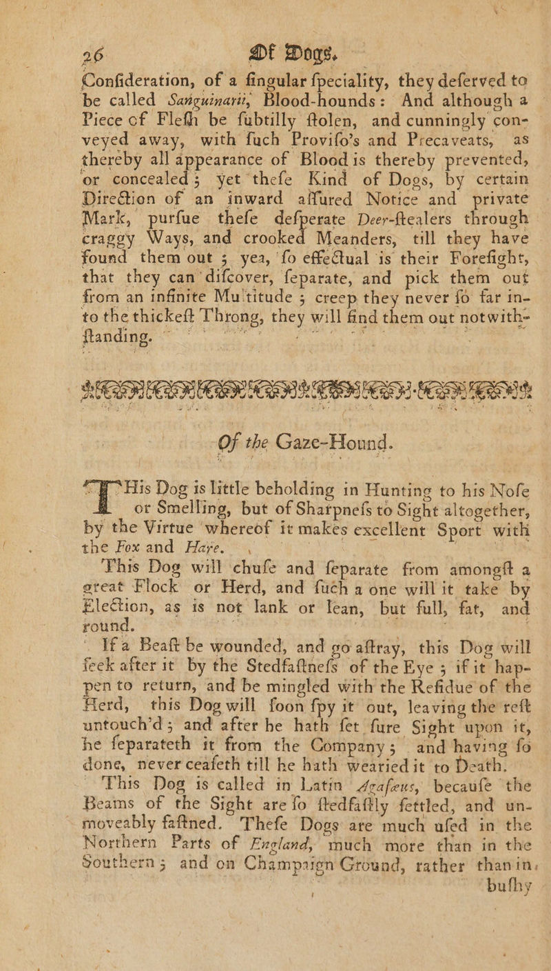 Confideration, of a fingular fpeciality, they deferved to be called Sanguinarit, Blood-hounds: And although a Piece of Flefh be fubtilly ftolen, and cunningly con- veyed away, with fuch Provifo’s and Precaveats, as thereby all appearance of Blood is thereby prevented, or concealed; yet thefe Kind of Dogs, by certain DireGtion of an inward affured Notice and private Mark, purfue thefe defperate Deer-ftealers through craggy Ways, and crooked Meanders, till they have found them out ; yea, fo effectual is their Forefight, _ that they can‘ difcover, feparate, and pick them out from an infinite Mu'titude ; creep they never fo far in- to the thickeft Throng, they will find them out notwith- flanding. © LEPULRA O Of the Gaze-Hound. “His Dog is little beholding in Hunting to his Nofe or Smelling, but of Sharpnefs to Sight altogether, by the Virtue ‘whereof it makes excellent Sport with the Hox-and | Alaye 4) e * | This Dog will chufe and feparate from amongit a great Flock or Herd, and fuch a one will it take by Election, as is not lank or lean, but full, fat, and | Ifa Beaft be wounded, and go aftray, this Dog will feek after it by the Stedfaftnefs of the Eye ; if it hap- pen to return, and be mingled with the Refidue of the Herd, this Dog will foon fpy it out, leaving the reft untouch’d; and after he hath fet fure Sight upon it, he feparateth it from the Company; and having fo done, never ceafeth till he hath wearied it to Death. This Dog 1s called in Latin dgafeus, becaufe the Beams of the Sight are fo fledfaftly fettled, and un- moveably faftned. Thefe Dogs are much ufed in the Northern Parts of England, much more than in the Southern; and on Champaign Ground, rather thanin, bufhy ;