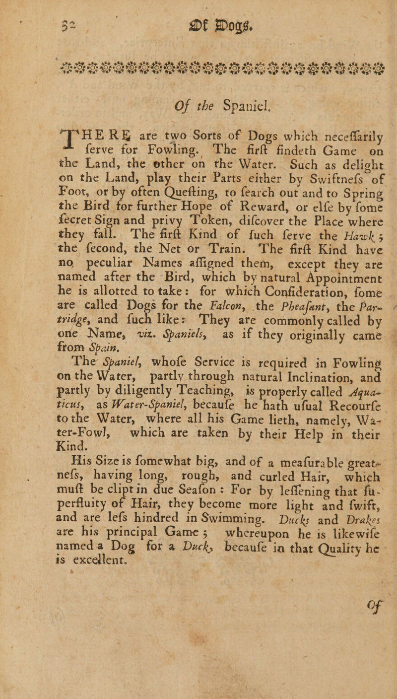 Of the Spaniel, ‘THE RE are two Sorts of Dogs which neceffarily ferve for Fowling. The firft findeth Game on the Land, the ether on the Water. Such as delight on the Land, play their Parts either by Swiftnefs of Foot, or by often Quefting, to fearch out and to Spring the Bird for further Hope of Reward, or elfe by fome fecret Sign and privy Token, difcover the Place where they fall. The firft Kind of fuch ferve the Hawk ; the fecond, the Net or Train. The firft Kind have no peculiar Names affigned them, except they are named after the Bird, which by natural Appointment he is allotted totake: for which Confideration, fome are called Dogs for the Falcon, the Pheafant, the Pare + tridge, and fuch like: They are commonly called by one Name, vi. Spaniels, as if they originally came — from Spain. ; The Spaniel, whofe Service is required in Fowling onthe Water, partly through natural Inclination, and partly by diligently Teaching, is properly called Aqua- ticus, as Water-Spaniel, becaufe he hath ufual Recourfe | tothe Water, where all his Game lieth, namely, Wa- ter-Fow], which are taken by their Help in their Kind. His Size 1s fomewhat big, and of a meafurable great~ nefs, having long, rough, and curled Hair, which muft be cliptin due Seafon: For by leffening that fi- perfluity of Hair, they become more light and fwift, and are lefs hindred in Swimming. Ducks and Drahes are his principal Game ; whereupon he is likewife named a Dog for a Duck, becaufe ia that Quality he: is excellent. : 7 i