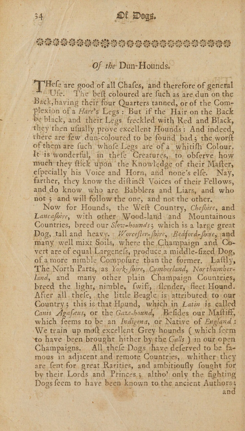 340 Mt Dogs. | Ripon LOLOL e101 0205010 £01050 Lo Lo a LODO RO SOLO Lo: Of the Dun-Hounds. “7 'Hele are good of all Chafes, and therefore of general ~~! Ufe. The beft coloured are fuch as are,dun on the Back, having their four Quarters tanned, or of the Com- Plexion of a Hare’s Legs: But if the Hair on the Back - be black, and their Legs freckled with Red and Black, they then ufually prove excellent Hounds: And indeed, _ there are few dun-coloured to be found bad; the wort of them are fuch ‘whofe Legs are’ of a whitifh Colour. It'is‘wonderful, in thefe Creatures,. to. obferve. how much’ they ftick upon the Knowledge of their Mafter, efpecially his Voice and Horn, and none’s elfe. Nay, farther, they know the diftin@ Voices of their Fellows, and.do know. who are Babblers and Liars, and who / not 5 and will followthe one, and not the other. Now for Hounds, the Weft Country, Chefbire, and Lancafbire, with other Weod-land and Mountainous Countries, breed our Slowehounds; which is a large great Dog, tall and heavy.» Worcefter- (hire, Bedford-fhives and ‘many well mixt Soils, where the Champaign and Co- vert are of equal Largenefs, produce,a middle-fized, Dog, ‘ of.amore nimble Compofure than the former. Lattly, The North Parts, as York: /bire, .Cumberland, Nor thumber- land, and many other plain Champaign Countries, breed the. light, nimble, fwift,, dlender, fleet Hound. After all. thefe, the little Beagle; is) attributed, to: our Country; this is that Hound, which.in Latin is called — Canis Agafeus, or the Gaze-hound, Befides our Maftiff, : which feems to be an Indigena, or Native of England : ‘We train up moft excellent Grey-hounds ( which feem ‘to have been\brought, hither bythe Gals ) in our open Champaigns. All. thefe Dogs shave deferved to be fa- mous in adjacent and remote Countries,. whither) they are fent for great Rarities, and ambitioufly fought for by their Lords and Princes.;, altho’ only the fighting Dogs feem to have been known to the ancient ANE pI a | aie f an