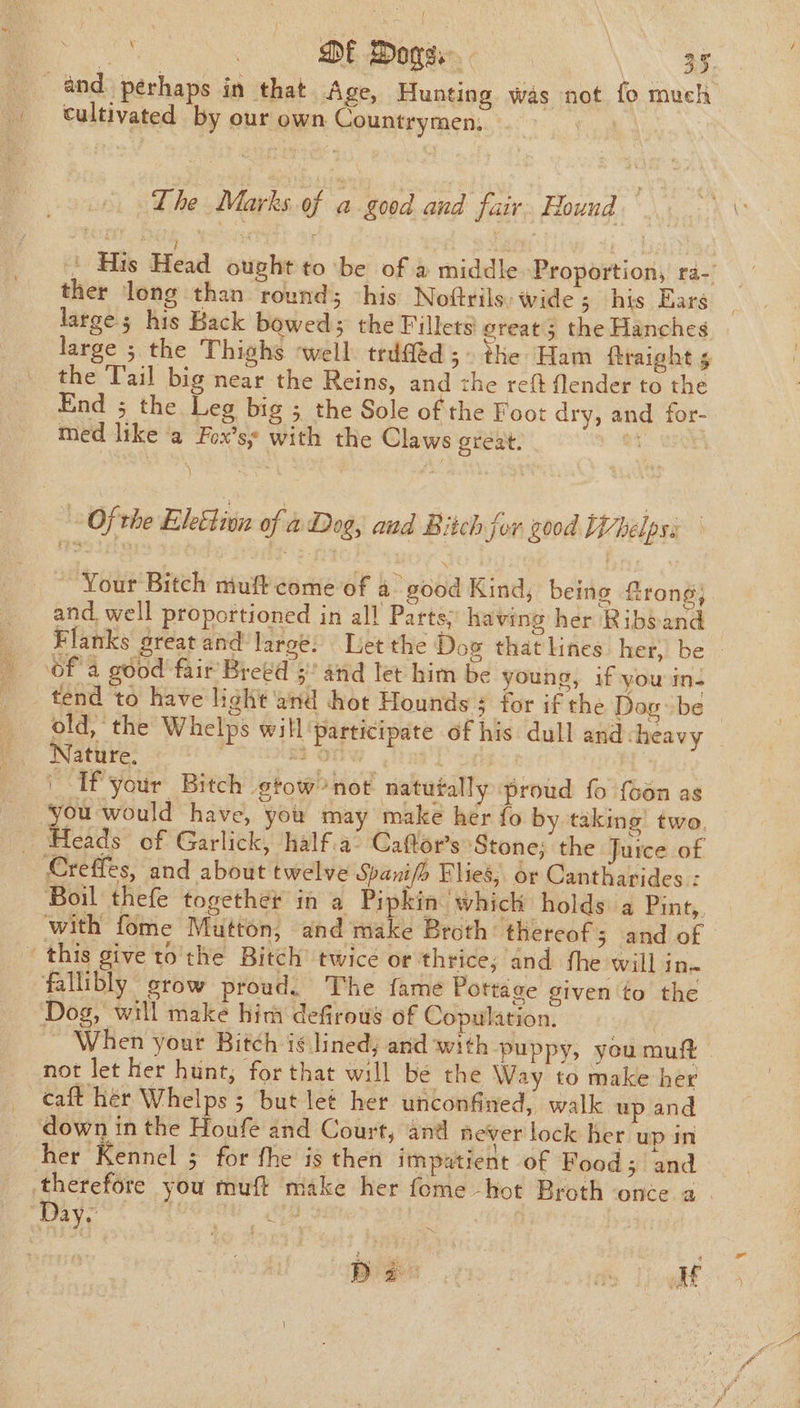 a and perhaps in that Age, Hunting was not fo much | tultivated by our own Countrymen; : | The Marks of a good and fair. Round ' His Head ought tobe of a middle Proportion, ra-- ther long than round; “his Noftrils: wide ; his Ears large 5 his Back bowed; the Fillets oreat'3 the Hanches large ; the Thighs. ‘well trdfféd ; the Ham ftraight 5 the Tail big near the Reins, and the reft flender to the End ; the Leg big ; the Sole of the Foot dry, and for- med like a Fox’ss with the Claws great. “t Of the EleShivn of &amp; Dog, and Bitch for good Whelpss ~ Your Bitch muft come of a good Kind, being frong; and. well proportioned in all Parts; having her Ribs and _ Flanks great and large. Let the Dog that lines her, be - _ 0f a good fair Breéd 5” and Tet him be young, if you in- tend to have light and hot Hounds 5 for if the Dog~be old, the Whelps will participate of his dull and heavy Nature. ho €35} ; 4 ' If your Bitch gtow not natutally proud fo {Gon as aby would have, you may make her fo by taking two, _ Heads of Garlick, half.a° Caftor’s Stone, the Jurce of Creffes, and about twelve Spanifh Flies; or Cantharides : Boil thefe together in a Pipkin whick holds a Pint,. with fome Mutton, and make Broth thereof and of this give to' the Bitch twice or thrice; and fhe will in. fallibly grow proud. The fame Pottage given to the Dog, will make him defirows of Copulation. | When your Bitch is lined; and with puppy, you muft not Jet her hunt, for that will be the Way to make her caft hér Whelps ; but let her unconfined, walk up and down in the Houfe and Court, and never lock her up in her Kennel 5 for fhe is then impatient of Food; and therefore you muft make her fome hot Broth once a . “Day. ined Da fe Toh