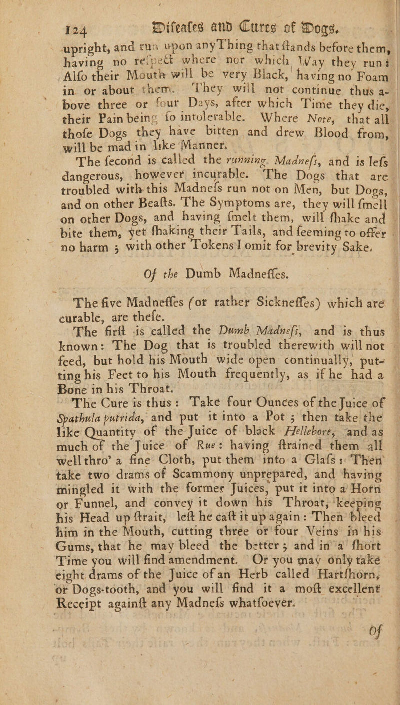 - upright, and run upon any Thing that flands before them, having no refpect where nor which Way they rung. Alfo their Mouth will be very Black, havingno Foam | in. or about them. ‘They will not continue thus a- bove three or four Days, after which Time they die, their Pain being fo intolerable. Where Note, that all thofe Dogs they have bitten and drew, Blood from, will be mad in [ske ‘Mariner, The fecond is called the running. Madnefs, and is lefs dangerous, however incurable. The Dogs that are troubled with this Madnefs run not on Men, but Dogs, and on other Beafts. The Symptoms are, they will fmell : on other Dogs, and having {melt them, will fhake and — bite them, yet fhaking their Tails, and feeming to offer ~ no harm 5 with other Tokens omit for brevity Sake. Of the Dumb Madneffes. The five Madneffes (or rather Sickneffes) which are © curable, are thefe. -# The firft .is called the Dumb Maduefs, and is thus — known: The Dog that is troubled therewith will not feed, but hold his Mouth wide open continually, put- — ting his Feet to his Mouth frequently, as ifhe hada — Bone in his Throat. 3 : The Cure is thus: Take four Ounces of the Juice of Spathula putrida, and put it into a Pot ; then take the like Quantity of the Juice of black Hellebore, and as much of the Juice of Rue: having ftrained them all wellthro’ a fine Cloth, put them into a Glafs: Then take two drams of Scammony unprepared, and ‘having mingled it with the former Juices, put it into a Horn or Funnel, and convey it down his Throat, ‘keeping his Head up fait, left he caft it up again: Then bleed him in the Mouth, cutting three or four Veins in his. - Gums, that he may bleed the better; and in’a fhort | Time you will find amendment. Or you may only take eight drams of the Juice ofan Herb called Hartfhorn, or Dogs-tooth, and you will find it a moft excellent Receipt againft any Madnefs whatfoever. Pu S TT of