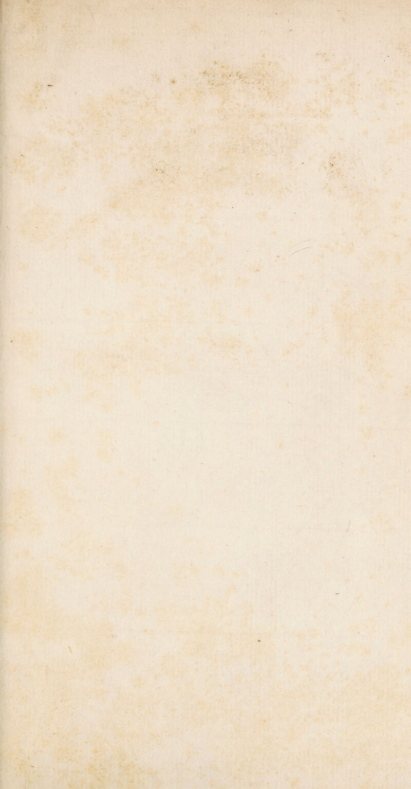 \ ■ V.' I ■■ * f. v \V • V