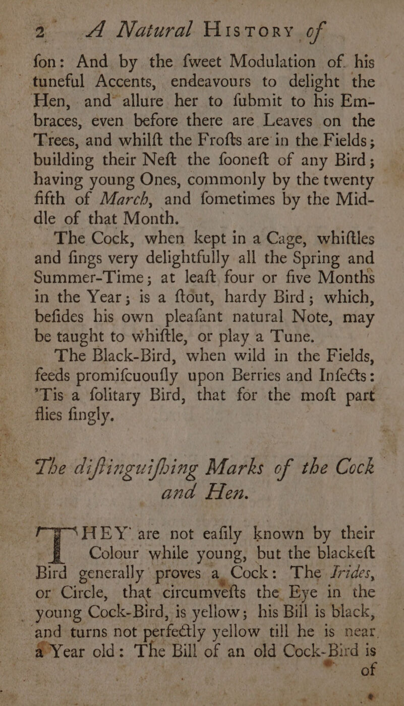 fon: And by the fweet Modulation of. his — tuneful Accents, endeavours to delight the . Hen, and° allure her to fubmit to his Em- braces, even before there are Leaves on the Trees, and whilft the Frofts are in the Fields; _ building their Neft the fooneft of any Bird; having young Ones, commonly by the twenty fifth of March, and fometimes by the Mid- dle of that Month. The Cock, when kept in a Cage, whiftles and fings very delightfully all the Spring and Summer-Time; at leaft four or five Months in the Year; is a ftout, hardy Bird; which, befides his own pleafant natural Note, may be taught to whiftle, or play a Tune. | _. The Black-Bird, when wild in the Fields, feeds promifcuoufly upon Berries and Infects: Tis a folitary Bird, that for the moft part flies fingly, ‘ | The diftinguifbing Marks of the Cock : and Flen. HEY are not eafily known by their ; Colour while young, but the blackeft _ Bird generally proves a, Cock: The Jrides, or Circle, that circumvefts the Eye in the _ young Cock-Bird, is yellow; his Bill is black, ' and turns not perfectly yellow till he is near, _ # Year old: The Bill of an old Cock-Bird e : or