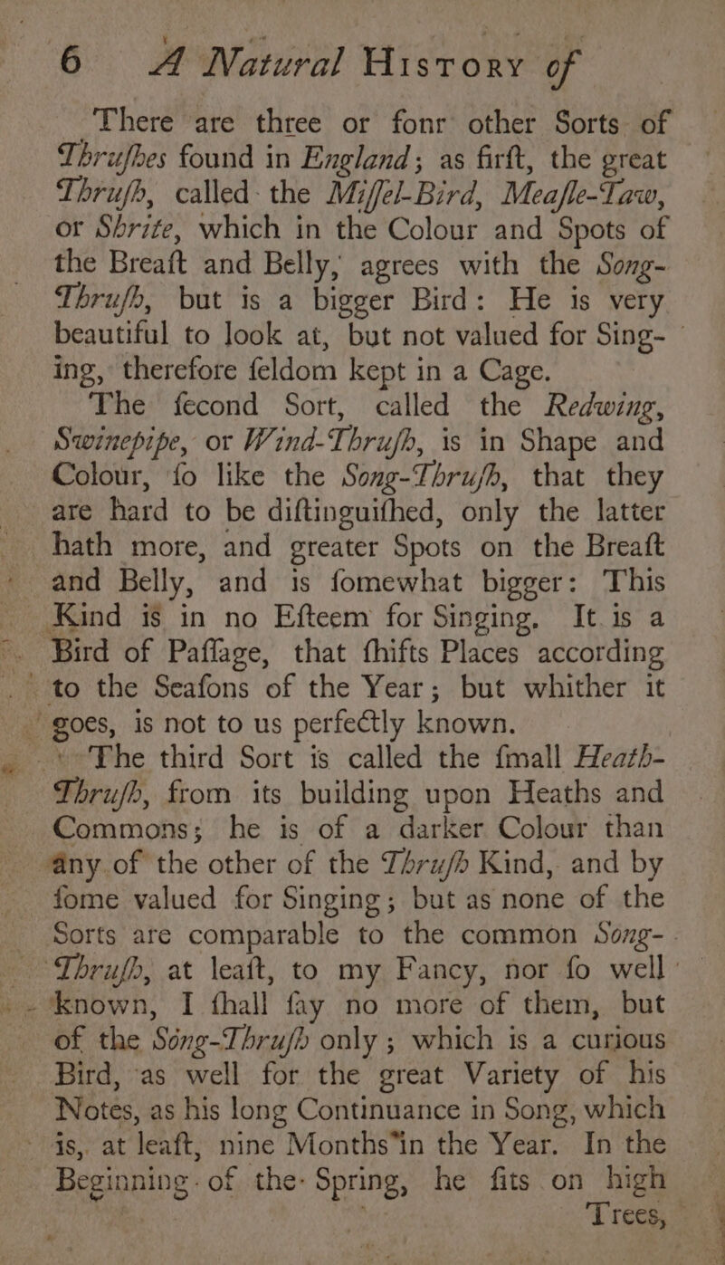 There are three or fonr other Sorts of Thrufbes found in England; as firft, the great Thrujb, called the Mifel-Bird, Mea/fle-Taw, or Shrite, which in the Colour and Spots of the Breaft and Belly, agrees with the Song- Thrufb, but is a bigger Bird: He is very ing, therefore feldom kept in a Cage. | The fecond Sort, called the Redwing, Swinepipe, or Wind-Thrujh, is in Shape and Colour, fo like the Song-Thrujh, that they are hard to be diftinguifhed, only the latter - and Belly, and is fomewhat bigger: This Kind 3s in no Efteem for Singing, It is a -. Bird of Paflage, that fhifts Places according goes, is not to us perfectly known. +The third Sort is called the fmall Heath- Thrujh, from its building upon Heaths and Commons; he is of a darker Colour than _ @ny of the other of the Thru/h Kind, and by fome valued for Singing; but as none of the _- ‘known, I thall fay no more of them, but of the Séng-Thrujh only ; which is a curious Bird, as well for the great Variety of his Notes, as his long Continuance in Song, which - 4s, at leaft; nine Months*in the Year. In the Beginning. of the- Spring, he fits on high ENO crea