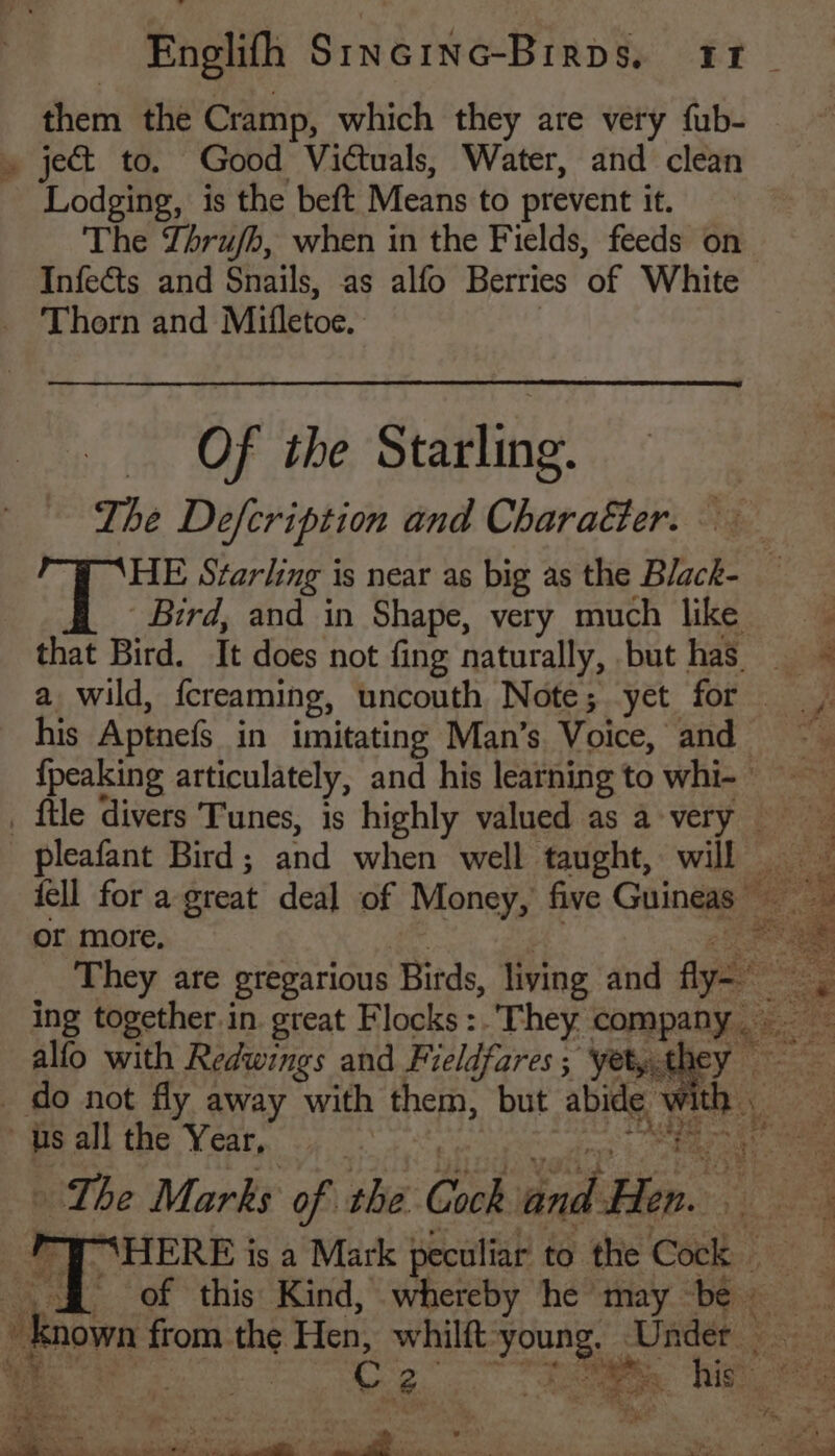 Enelifh CineineeBian £Y . them the Cramp, which they are very fub- » ject to. Good Victuals, Water, and clean Lodging, is the beft Means to prevent it. } The Lhrufh, when in the Fields, feeds on Infects and Snails, as alfo Berries ‘of White Thorn and Mitfletoe. Of the Starling. The Defcription and Chara€ter. 6 Bees Starling is near as big as the Black- _ Bird, and in Shape, very much like that Bird. It does not fing naturally, but has ~ a wild, {creaming, uncouth Note; yet for ©. his Aptnefs in imitating Man’s Voice, and {peaking articulately, and his learning to whi- _ ftle divers Tunes, is highly valued as a-very pleafant Bird ; and when well taught, will dell for a great deal of Money, five Guineas ea or more, Poe They are gregarious Birds, living and ade ing together.in. great Flocks : They company « alfo with Redwings and Fieldfares ; yet,,the ; do not fly away with them, but ae W) us all the Year, 3 ‘The Marks of the Cock ands Hen. s WHERE is a Mark peculiar to the Coa. e ff of this Kind, whereby he may be. uv “kaon from the Hen: whilft young. Under — cnty 5 @ : a is” r a sae a2 y ~ ; ¥ Shale’ i cage ‘ 7s ee OY 5 i 4 see: nae a ae 2 .“ : * ne ree 2 ex 5 aa Oe. a ee oe ie ee CT a