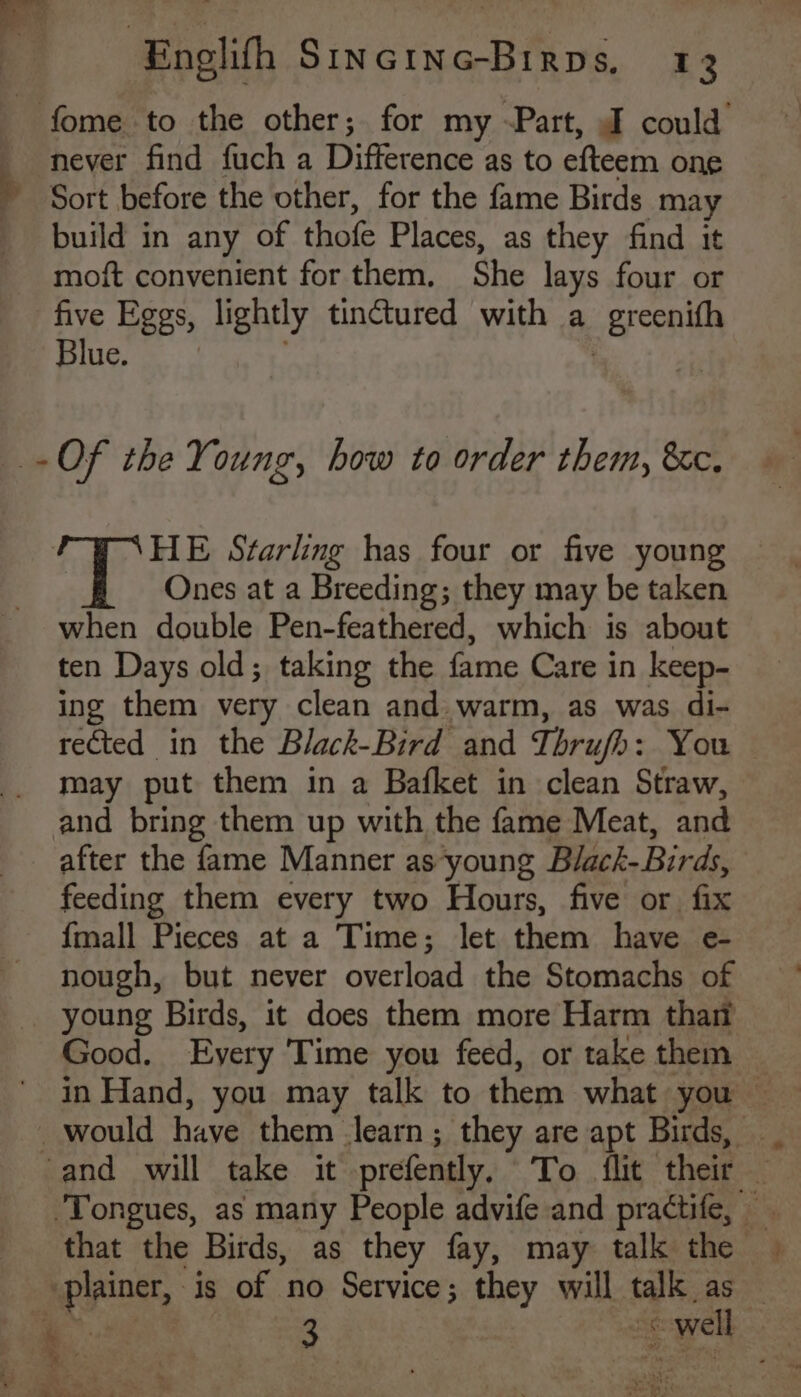 fome to the other; for my -Part, J could never find fuch a Difference as to efteem one » Sort before the other, for the fame Birds may build in any of thofe Places, as they find it moft convenient for them, She lays four or five Eggs, lightly tinctured with a greenith Blue. . | Of the Young, how to order them, &amp;c. 3 HE Starling has four or five young | Ones at a Breeding; they may be taken when double Pen-feathered, which is about ten Days old; taking the fame Care in keep- ing them very clean and warm, as was di- rected in the Black-Bird and Thrufh: You | may put them in a Bafket in clean Straw, and bring them up with the fame Meat, and after the fame Manner as young Black-Birds, feeding them every two Hours, five or fix {mall Pieces at a Time; let them have e- nough, but never overload the Stomachs of young Birds, it does them more Harm thar Good. Every Time you feed, or take them | in Hand, you may talk to them what you — _ would have them learn; they are apt Birds, ~ and will take it prefently, To flit their — ‘Tongues, as many People advife and practife, that the Birds, as they fay, may talk the — plainer, is of no Service; they will talk as — —. 3 «well ree