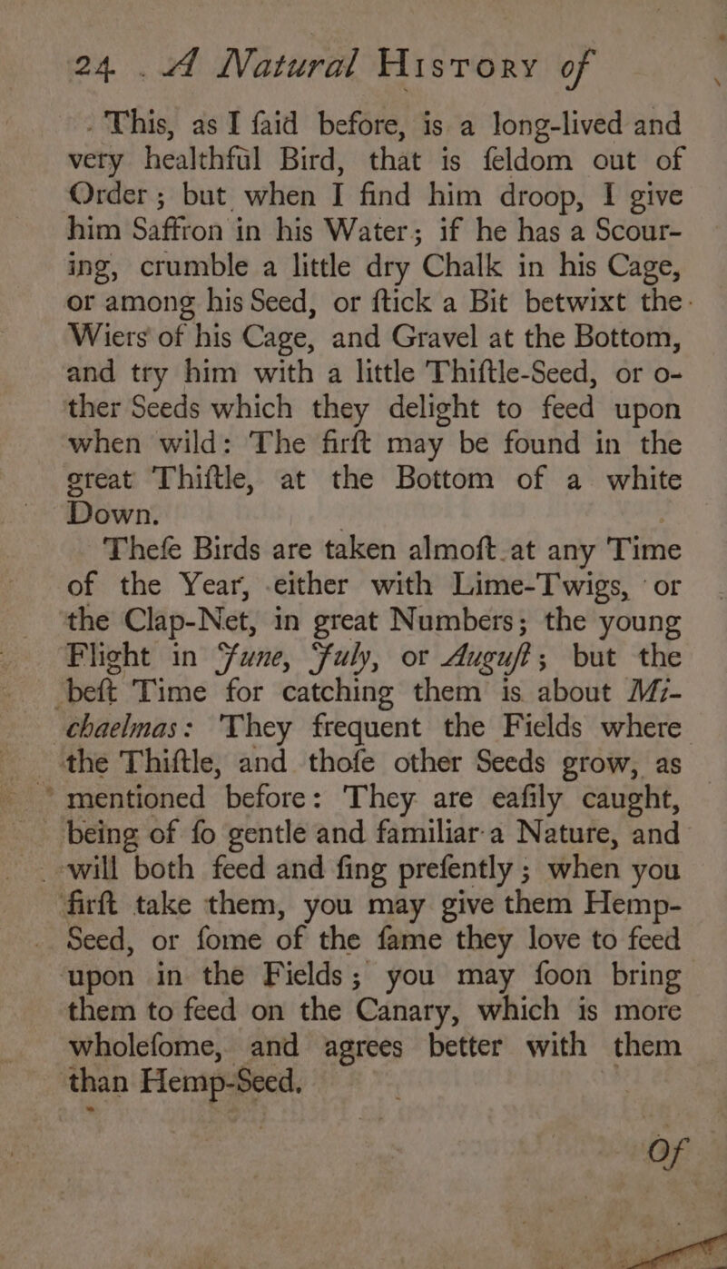 - This, as I faid before, is a long-lived and very healthful Bird, that is feldom out of Order ; but. when I find him droop, I give him Saffron in his Water; if he has a Scour- ing, crumble a little dry Chalk in his Cage, or among his Seed, or ftick a Bit betwixt the. Wiers of his Cage, and Gravel at the Bottom, and try him with a little Thiftle-Seed, or o- ther Seeds which they delight to feed upon when wild: The firft may be found in the sreat Thiftle, at the Bottom of a white Down. } 7 Thefe Birds are taken almoft.at any Time of the Year, either with Lime-Twigs, °or the Clap-Net, in great Numbers; the young Flight in Sune, Fuly, or Auguff; but the -beft Time for catching them is about M7- chaelmas: They frequent the Fields where the Thiftle, and thofe other Seeds grow, as being of fo gentle and familiar'a Nature, and firft take them, you may give them Hemp- _. Seed, or fome of the fame they love to feed ‘upon in the Fields; you may foon bring them to feed on the Canary, which is more wholefome, and agrees better with them than Hemp-Seed,