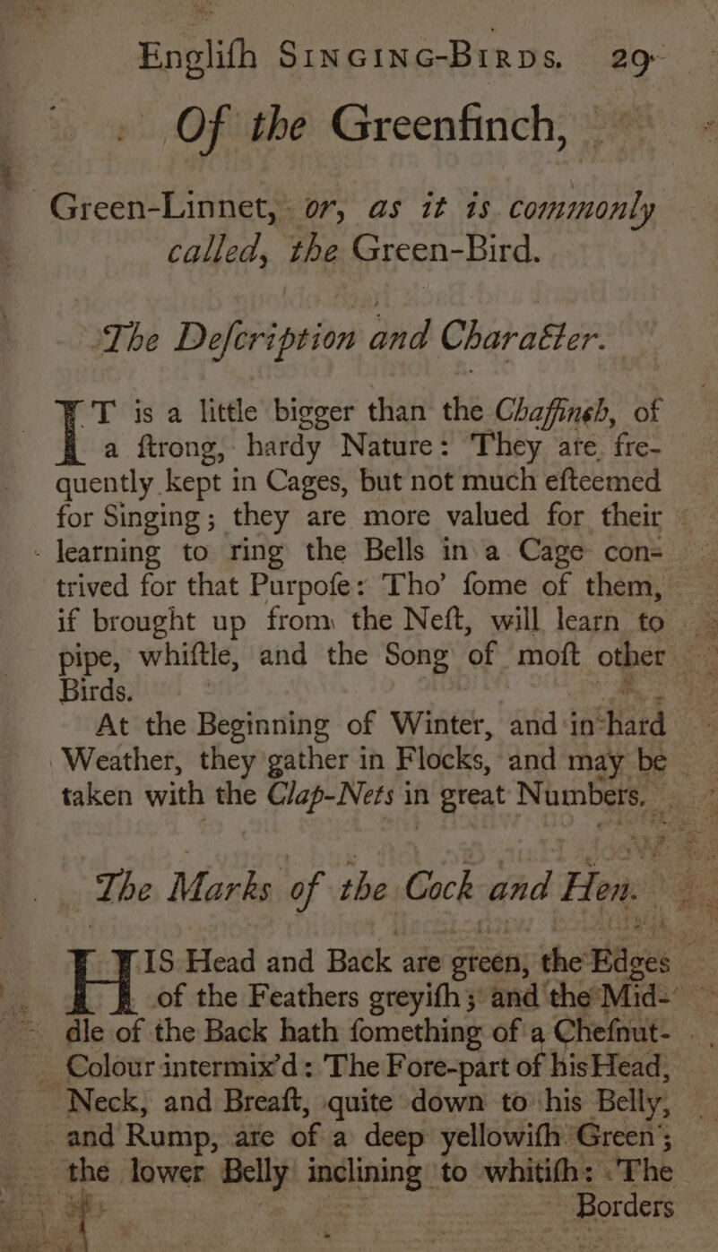 Of the Greenfinch, called, the Green-Bird. | The Defcription and Charatter 'T is a little bigger than the Chafingh, of a ftrong, hardy Nature: They are. fre- quently kept in Cages, but not much efteemed - learning to ring the Bells ina Cage con= — trived for that Purpofe: Tho’ fome of them, _ pipe, whiftle, and the Song of moft other o Birds. : RG At the Beginning of Winter, and ‘in’ ‘hard i taken with the Clap-Nets i in great N umbers, ae The Marks, of the Cock and Hen. My IS Head and Back are gicen, the: Rages : : dle. of the Back hath fomething of'a Chefnut- Neck, and Breaft, quite down to his Belly, h: and Rump, are of a deep: yellowith Green’;